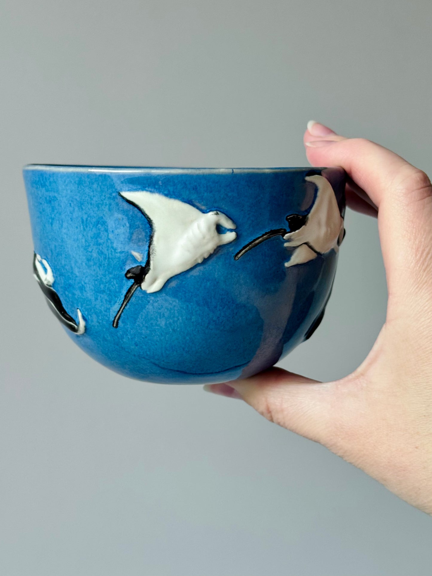 Flying Mantas Mug