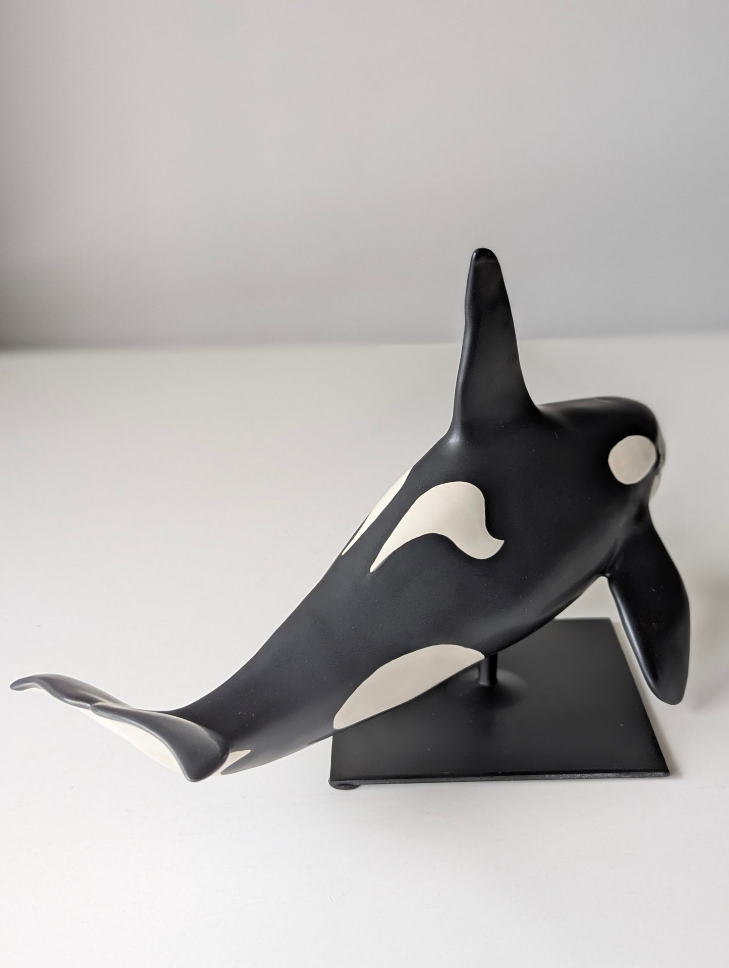 Male Orca on a stand