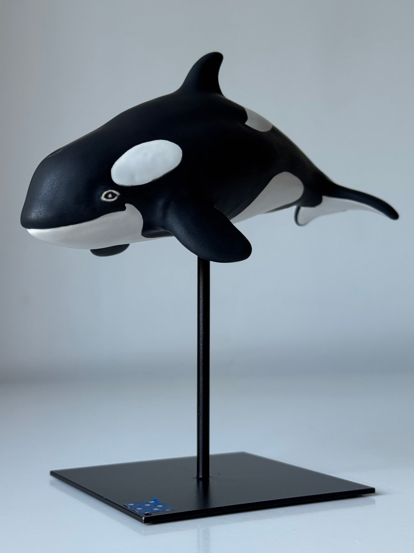 Baby Orca