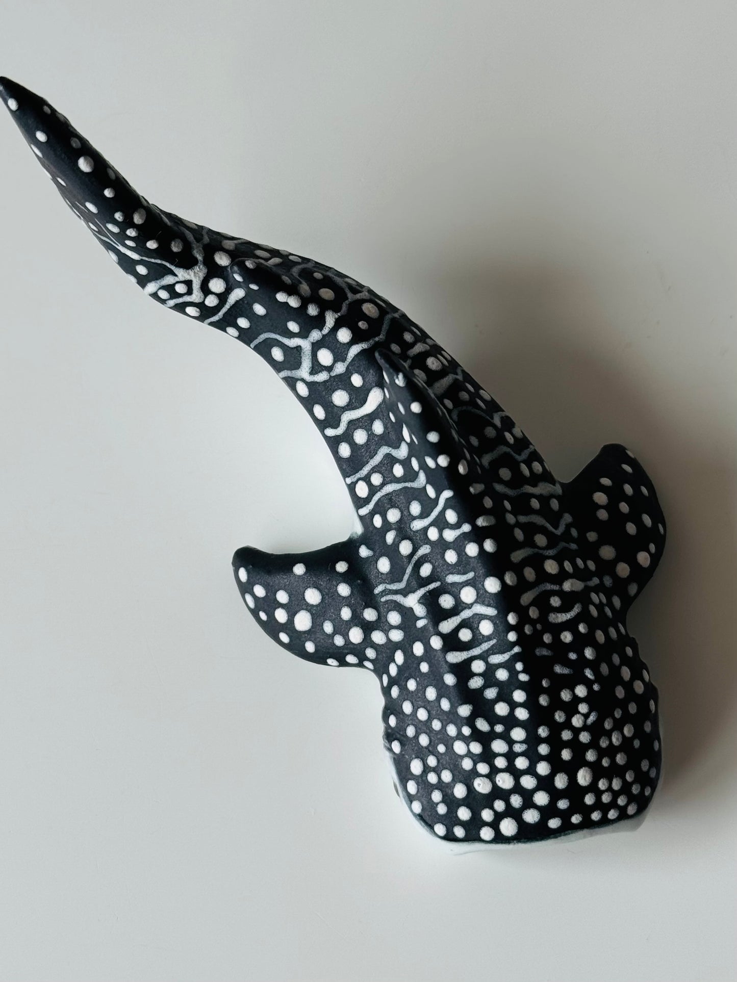 Baby Whale Shark