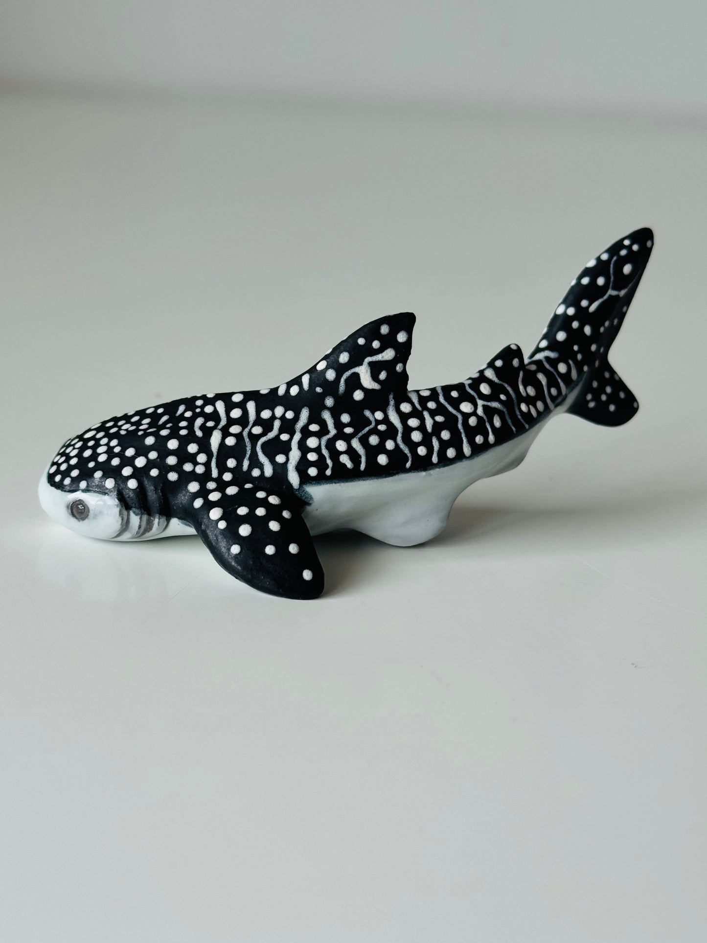 Baby Whale Shark