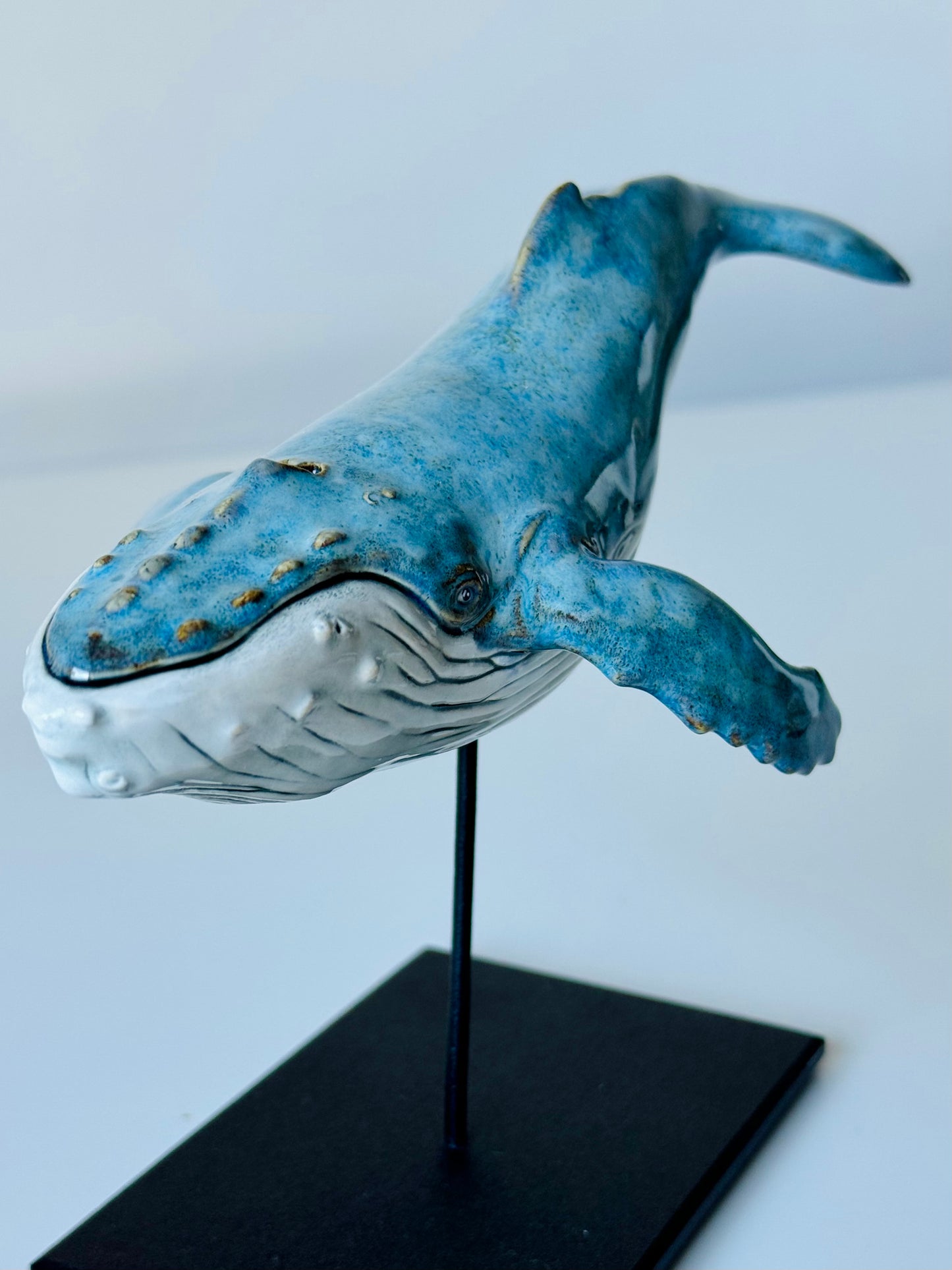 Baby Humpback Whale