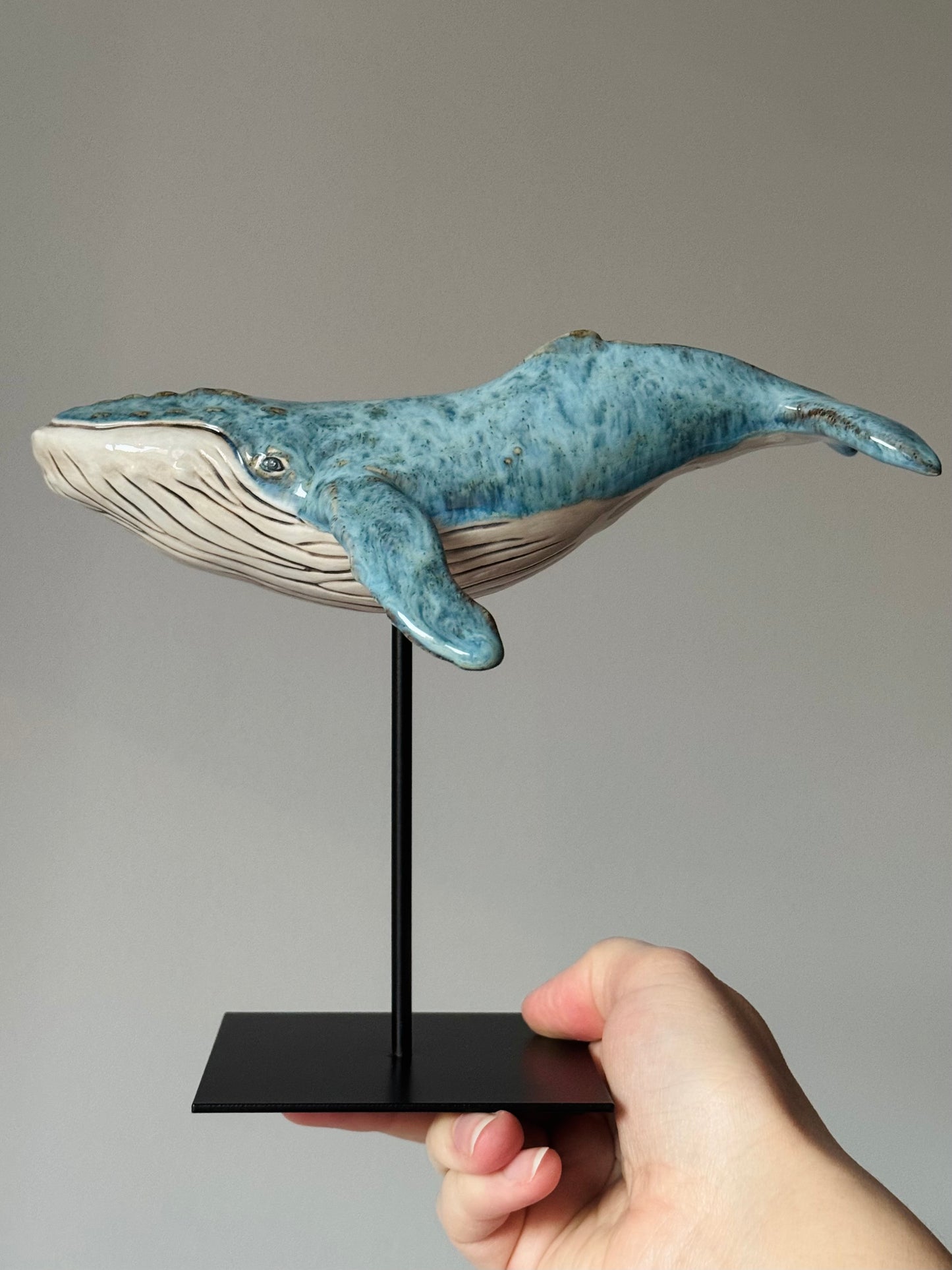 Baby Humpback Whale