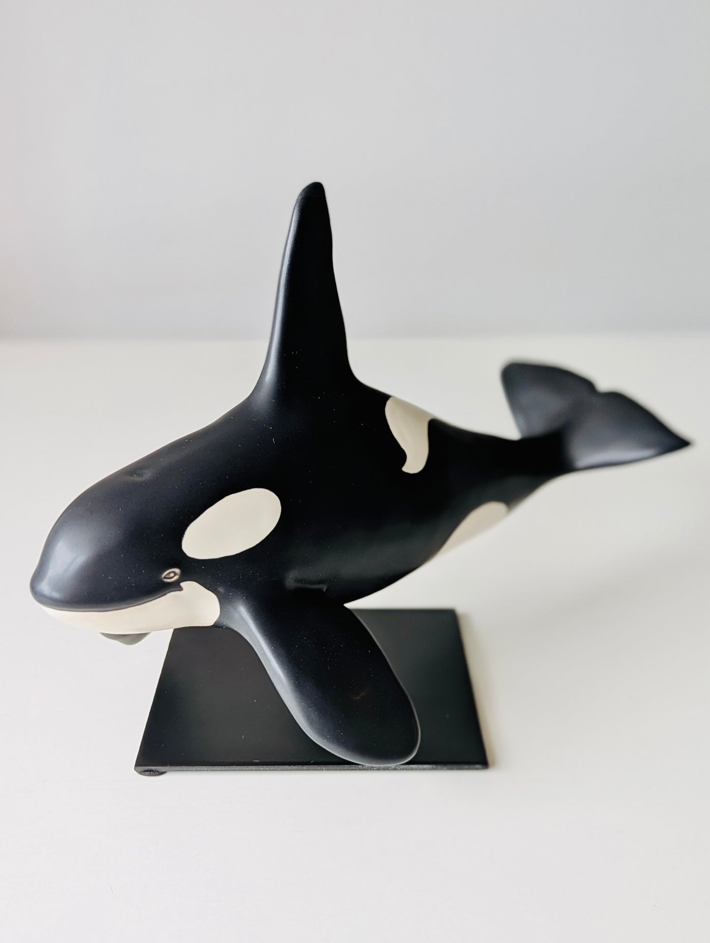 Male Orca on a stand