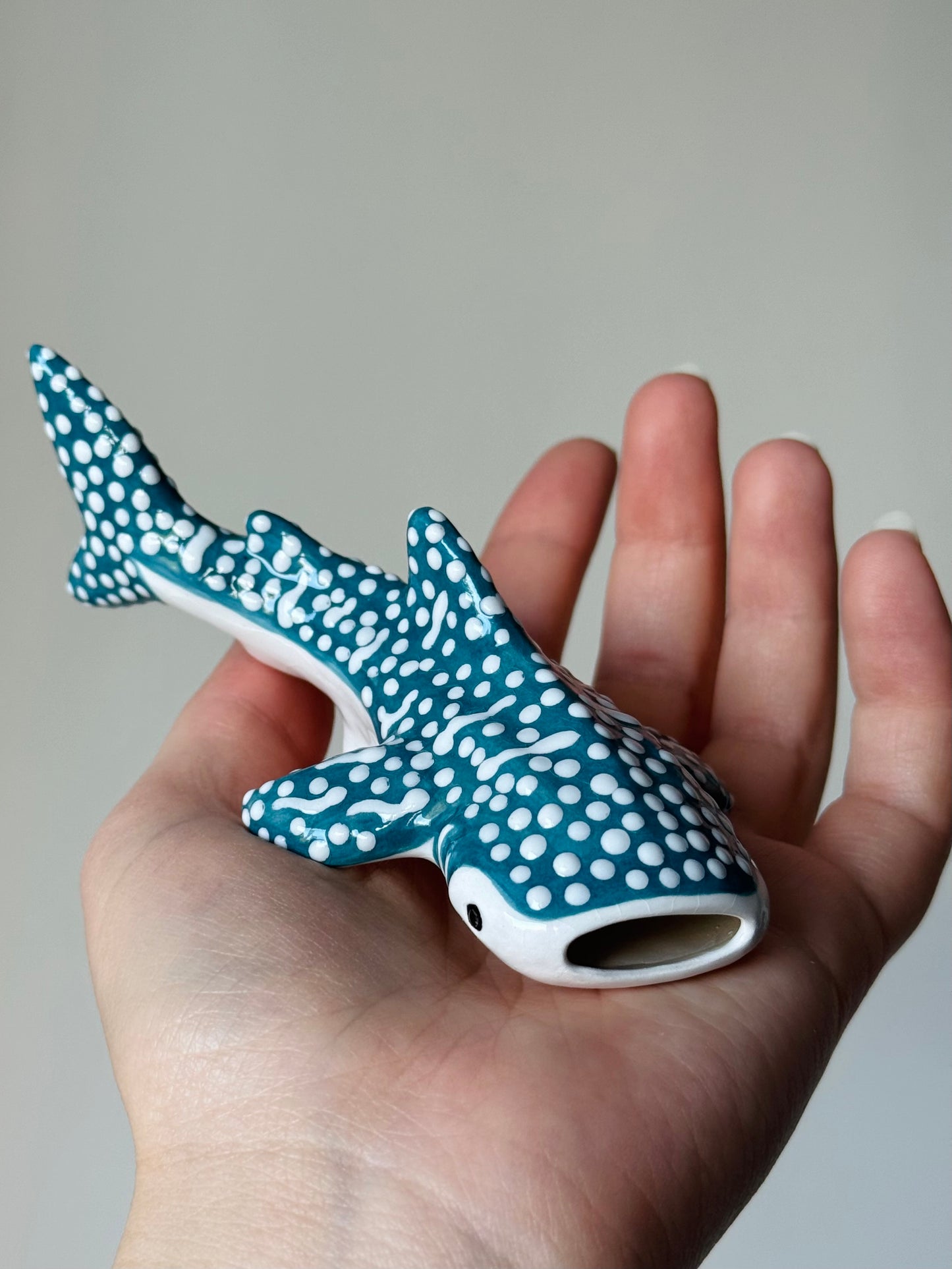 Baby Whale Shark