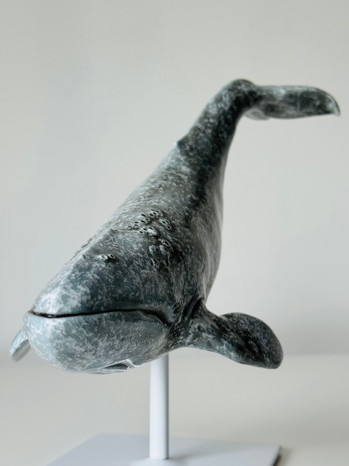 Gray whale on a stand