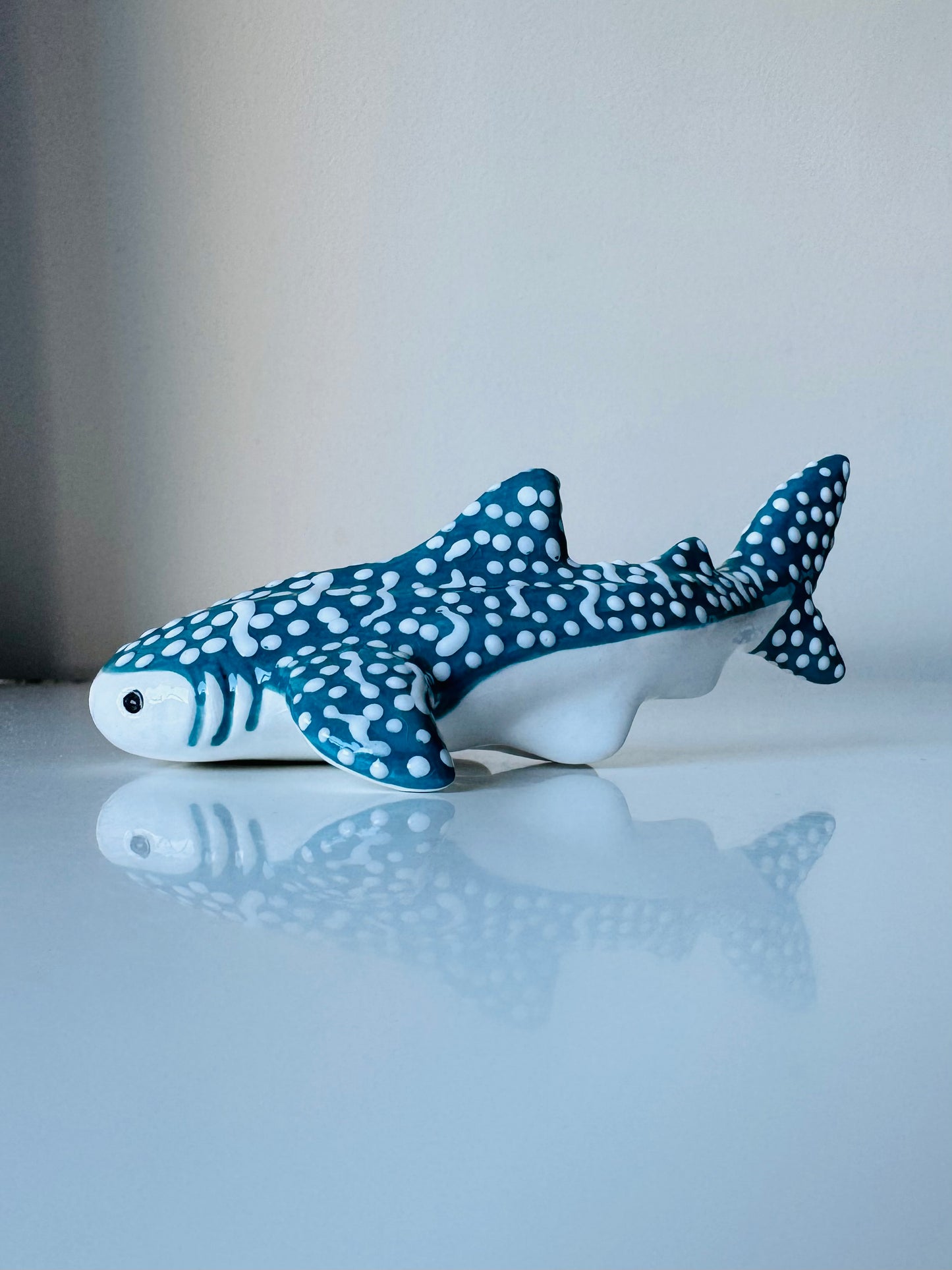 Baby Whale Shark