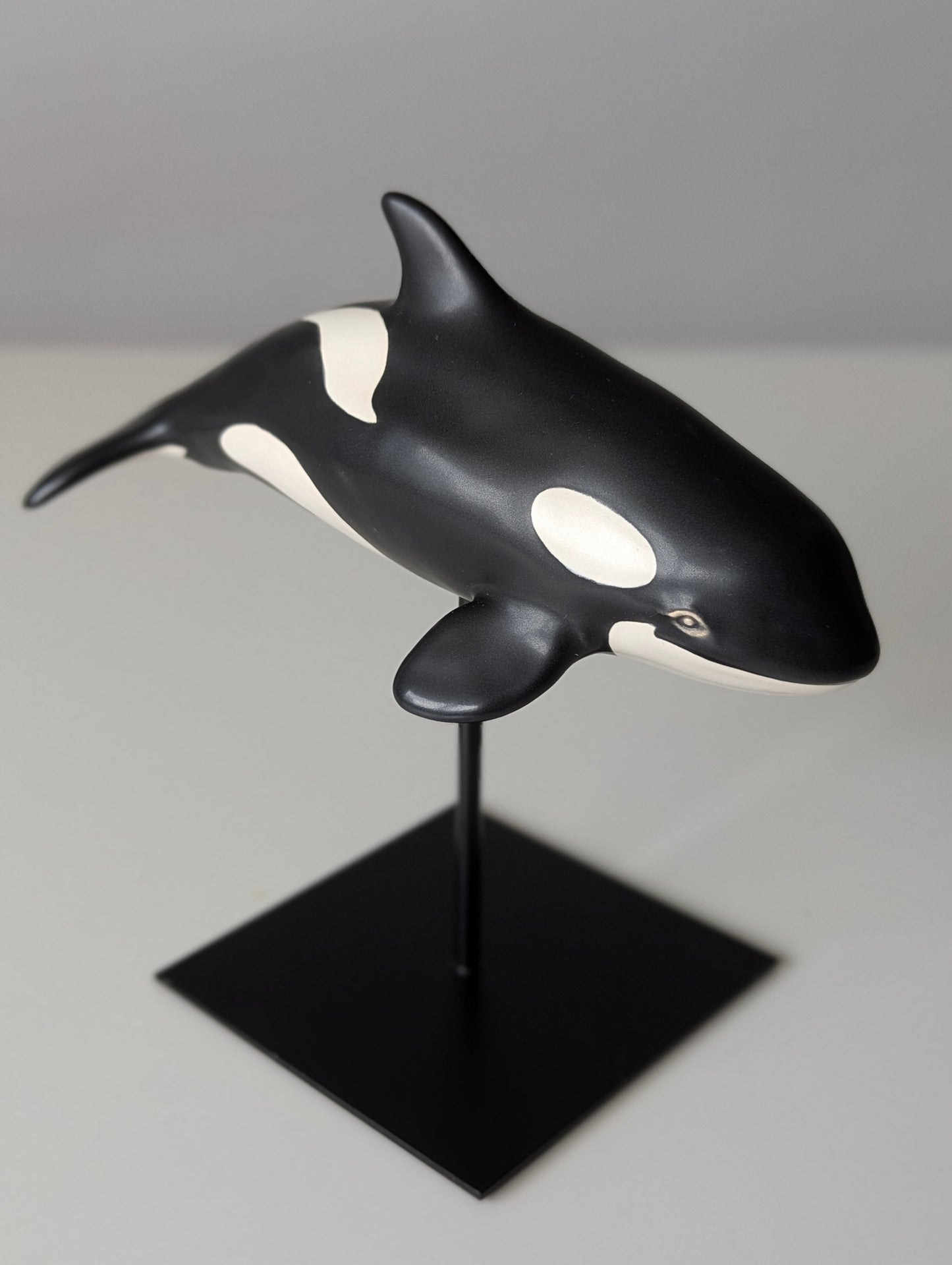 Baby Orca