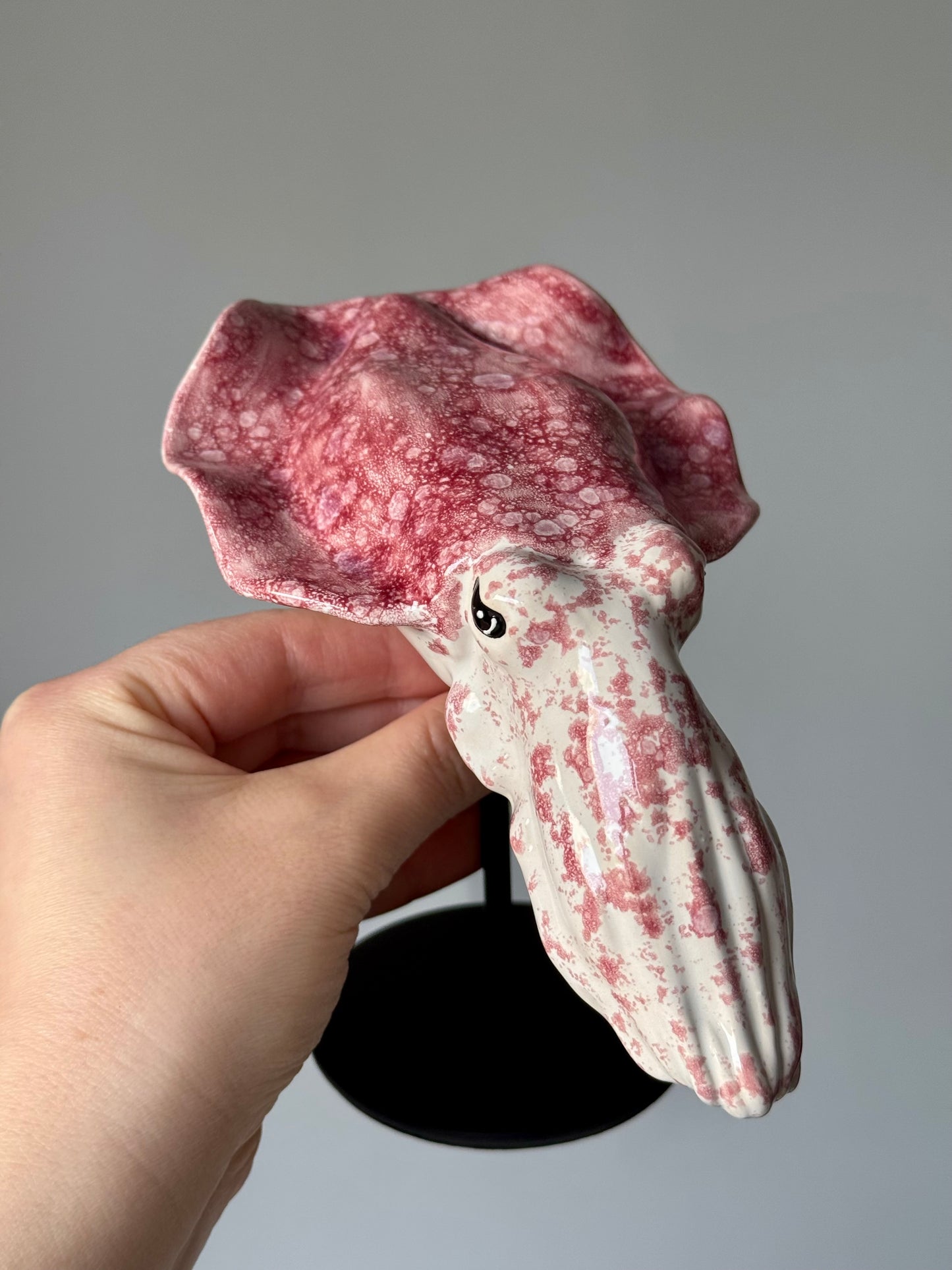 Cuttlefish