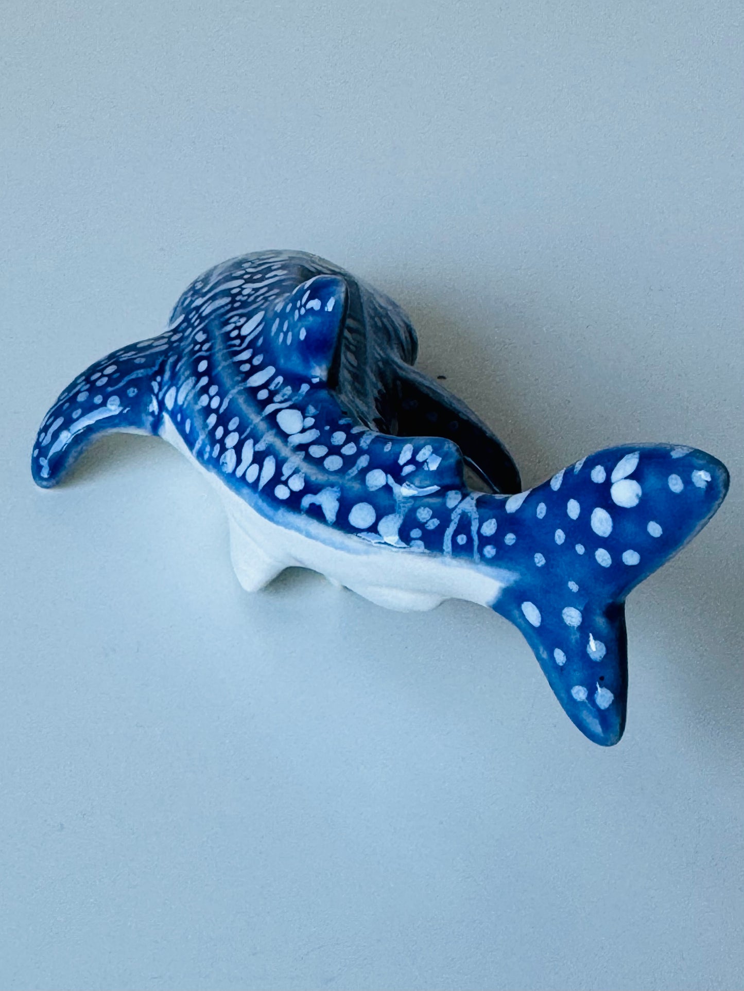 Baby Whale Shark