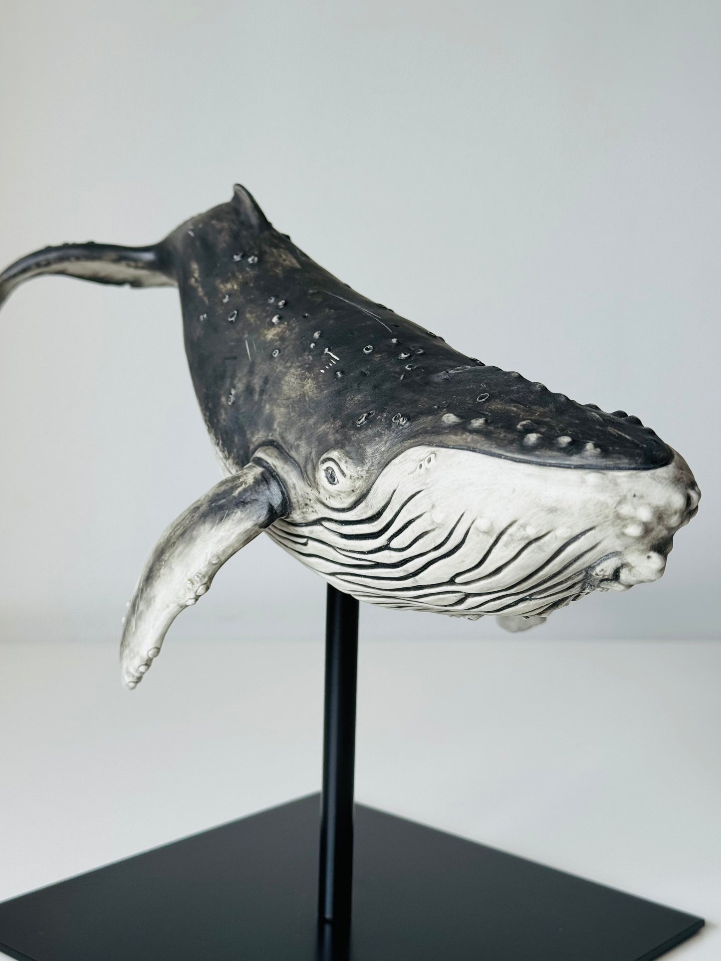 Big Humpback Whale