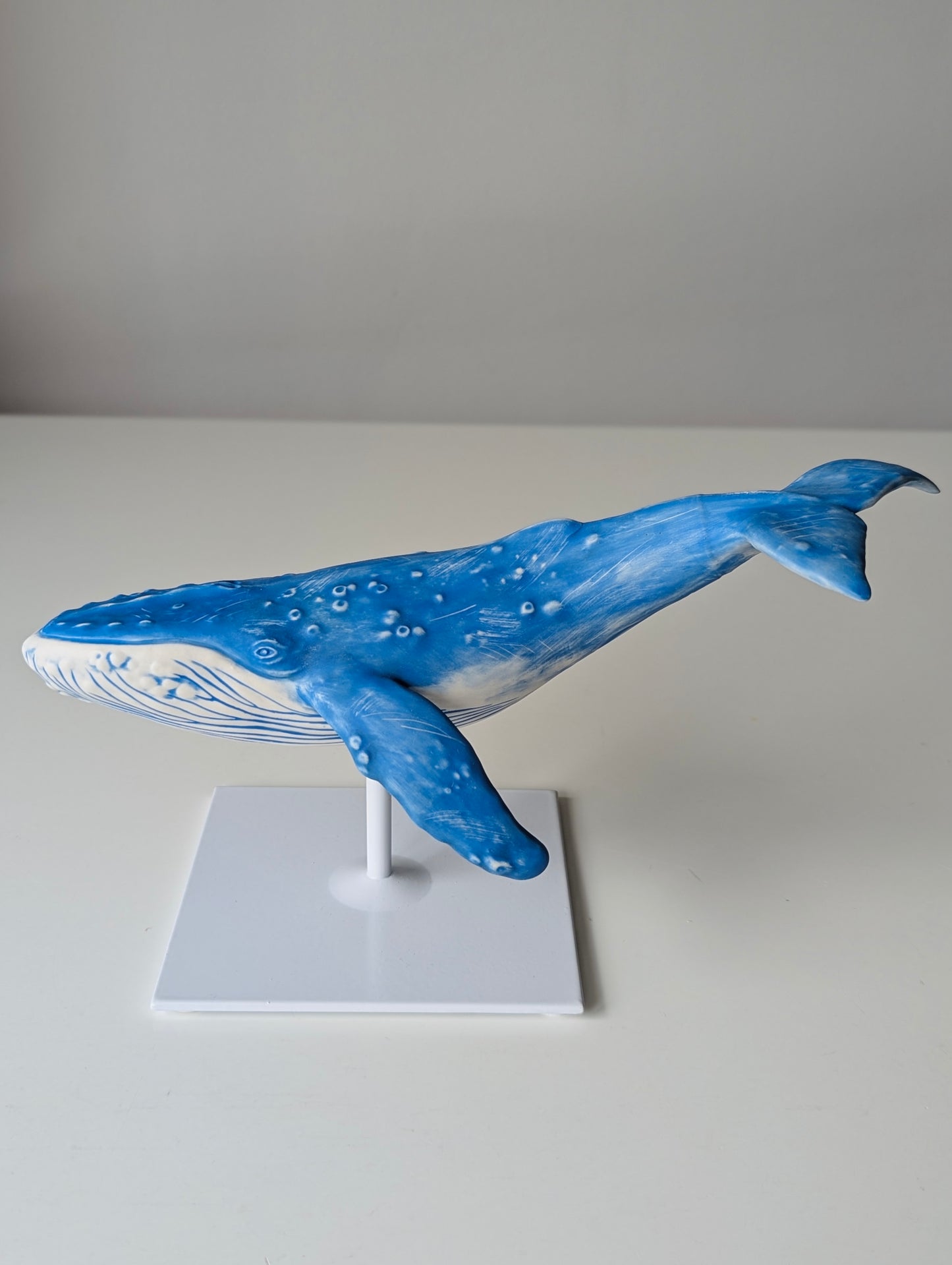 Porcelain Humpback Whale