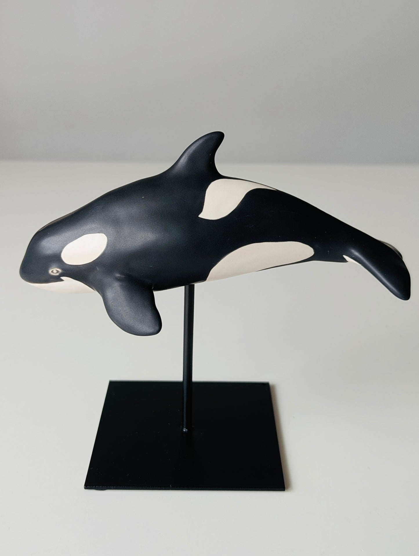 Baby Orca
