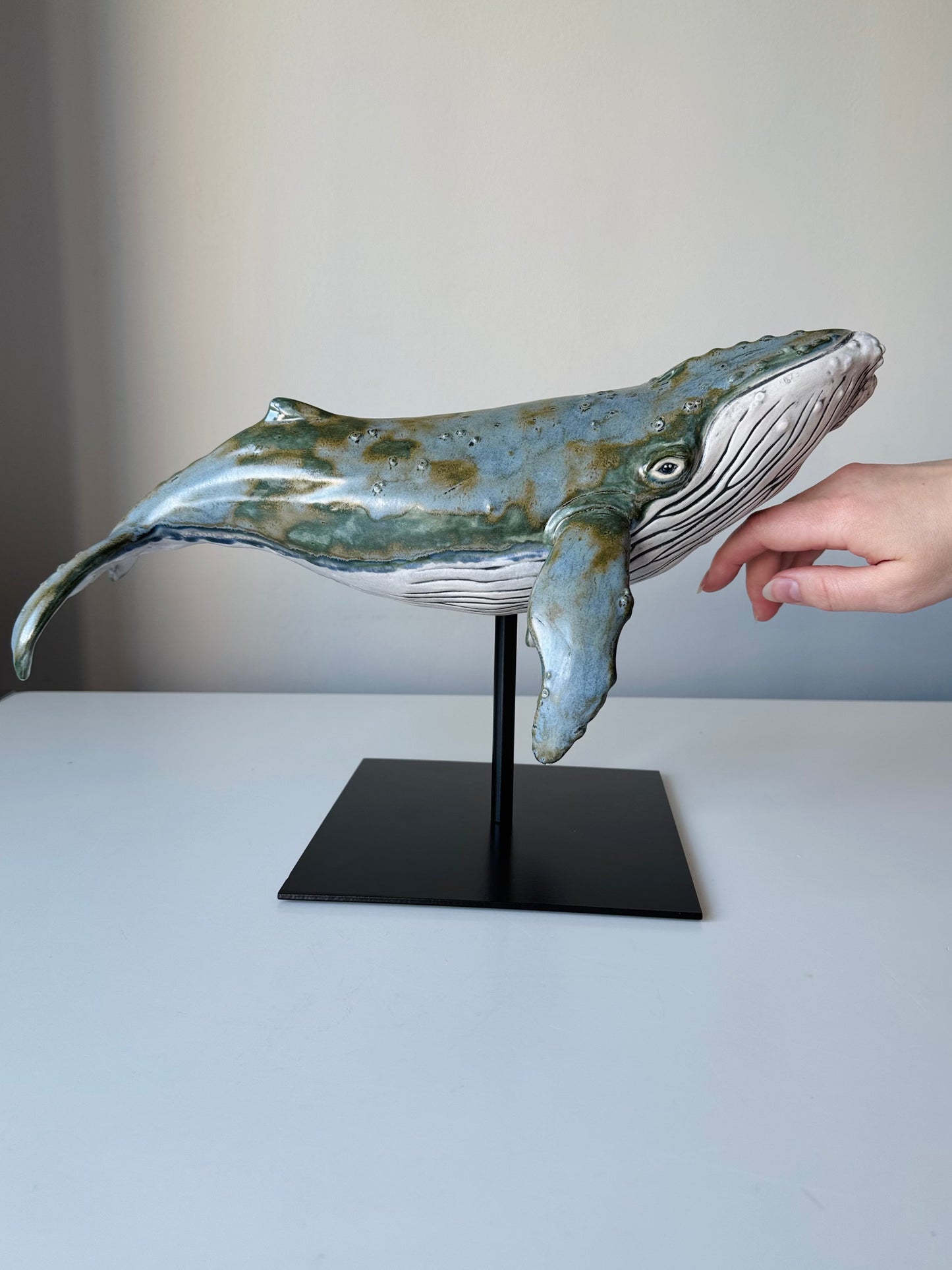 Big Humpback Whale