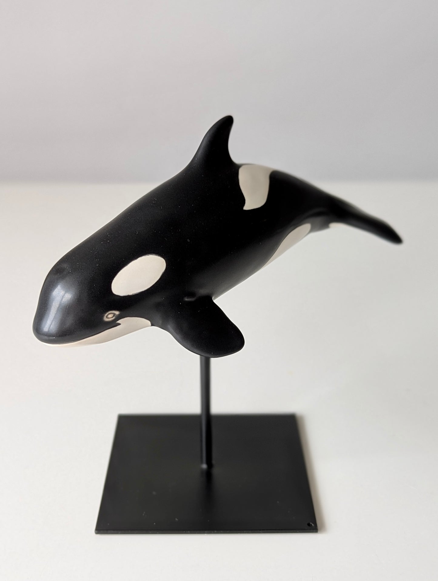 Baby Orca