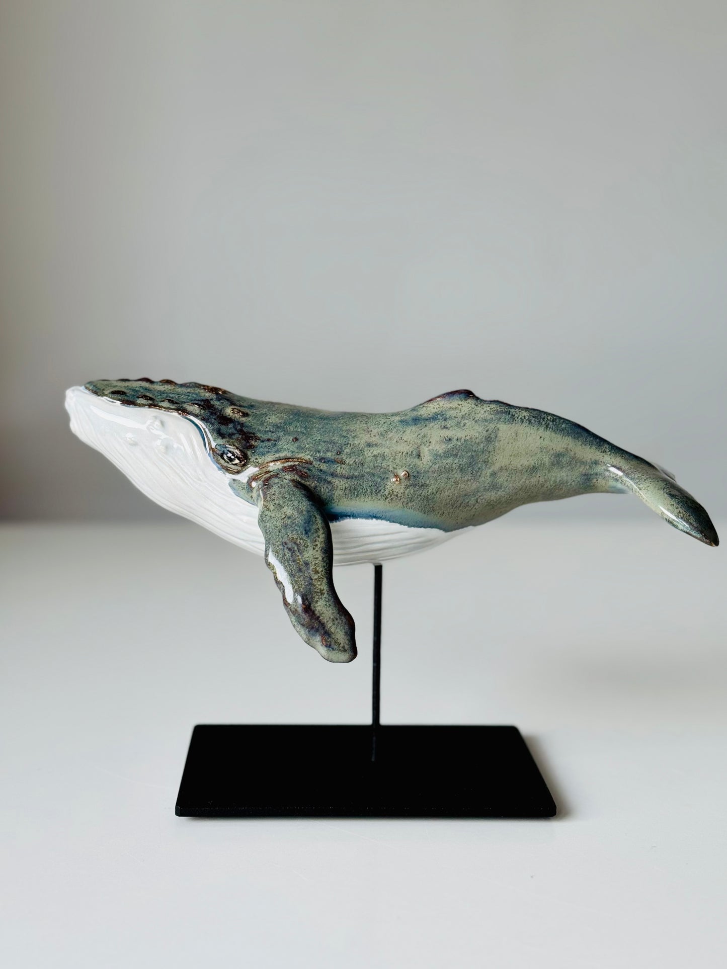 Baby Humpback Whale