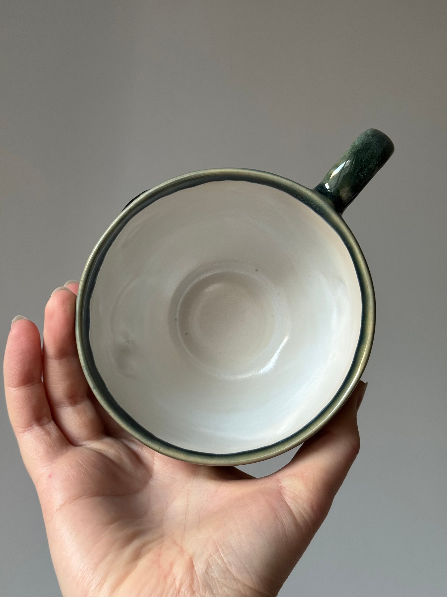 Flying Mantas Mug