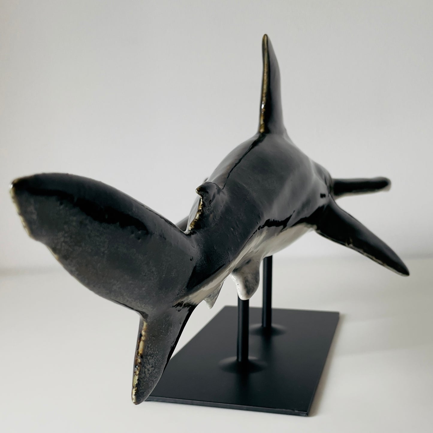 Hammerhead Shark