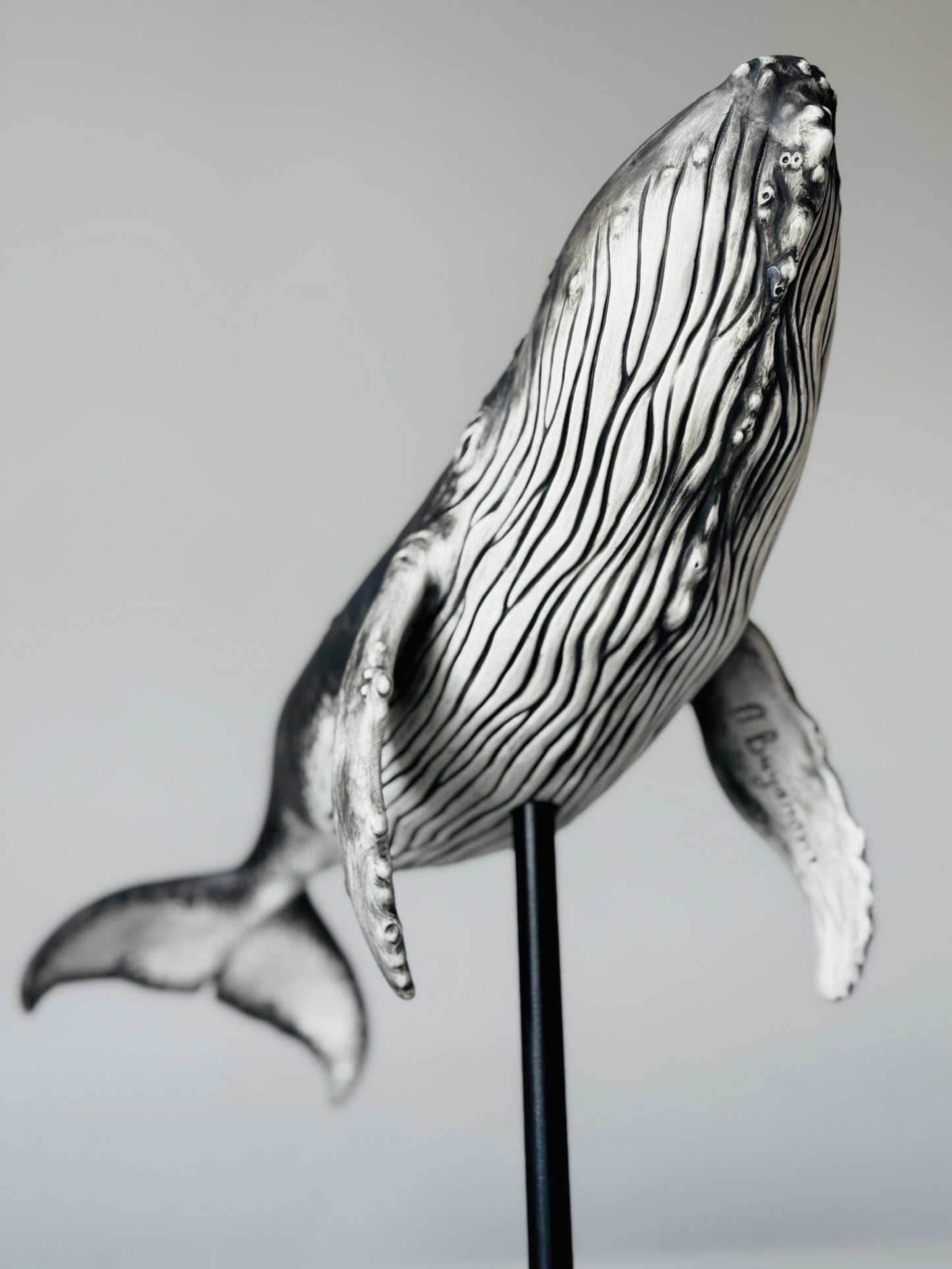 Big Humpback Whale
