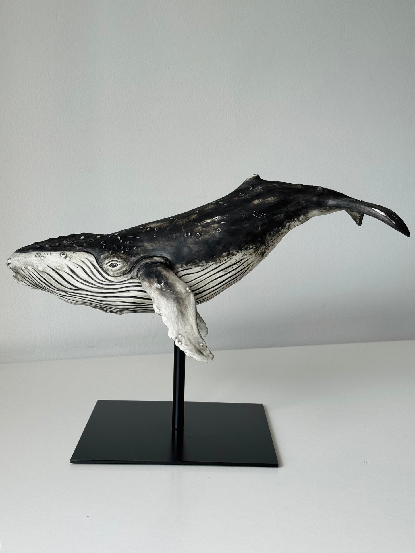 Big Humpback Whale