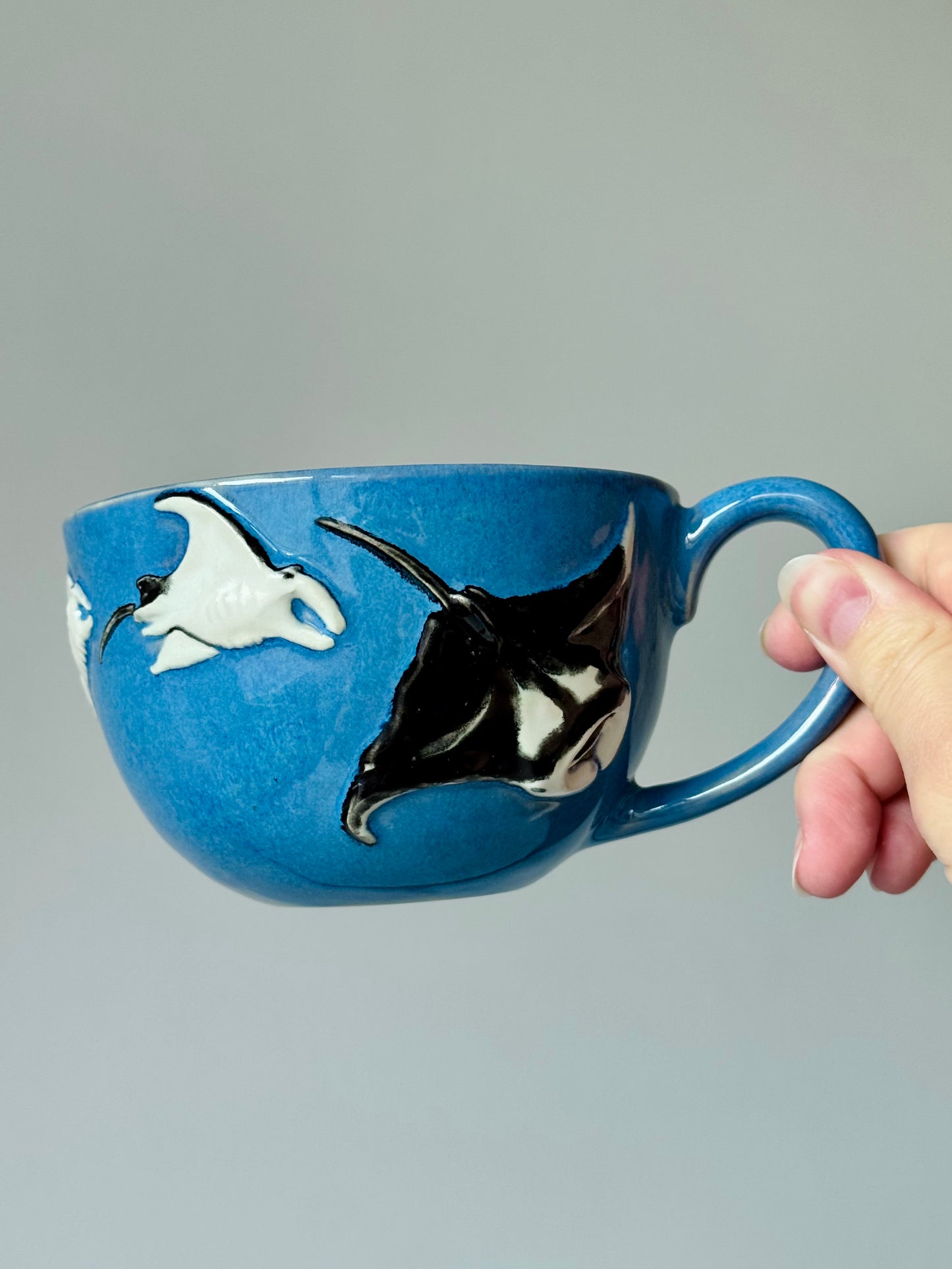 Flying Mantas Mug
