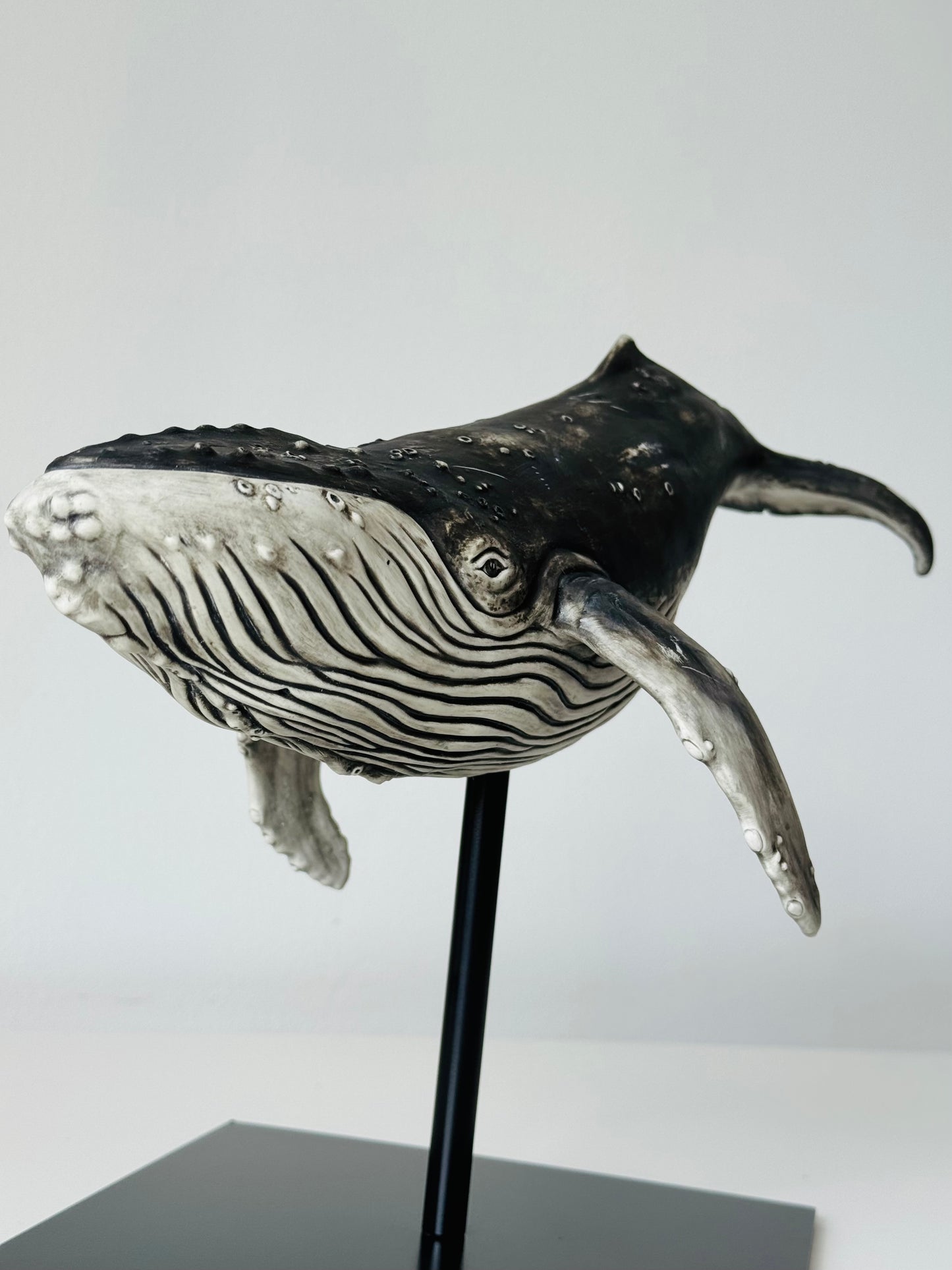 Big Humpback Whale