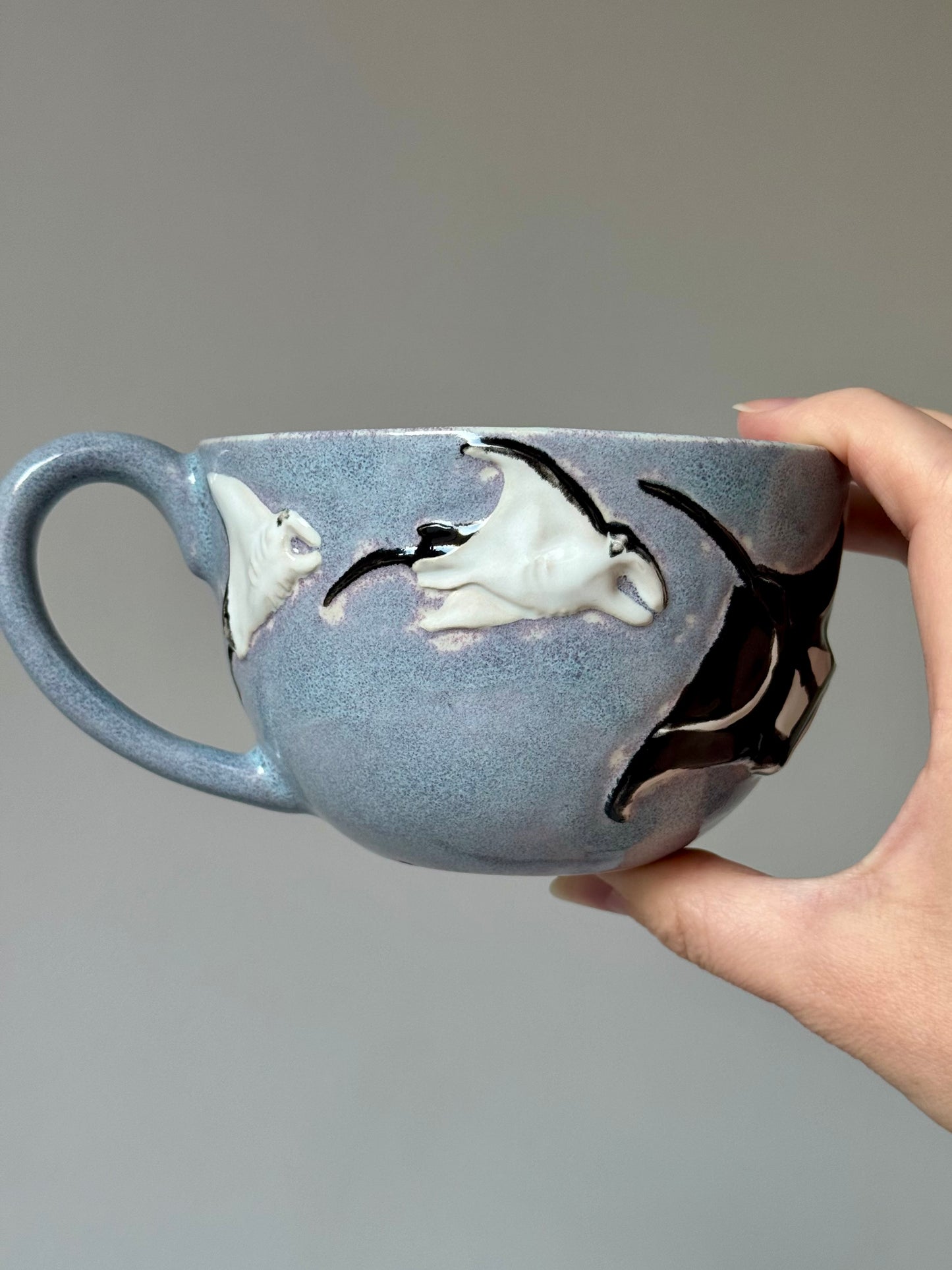 Flying Mantas Mug