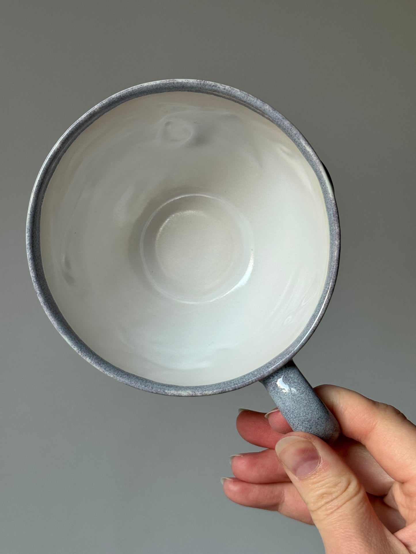 Flying Mantas Mug