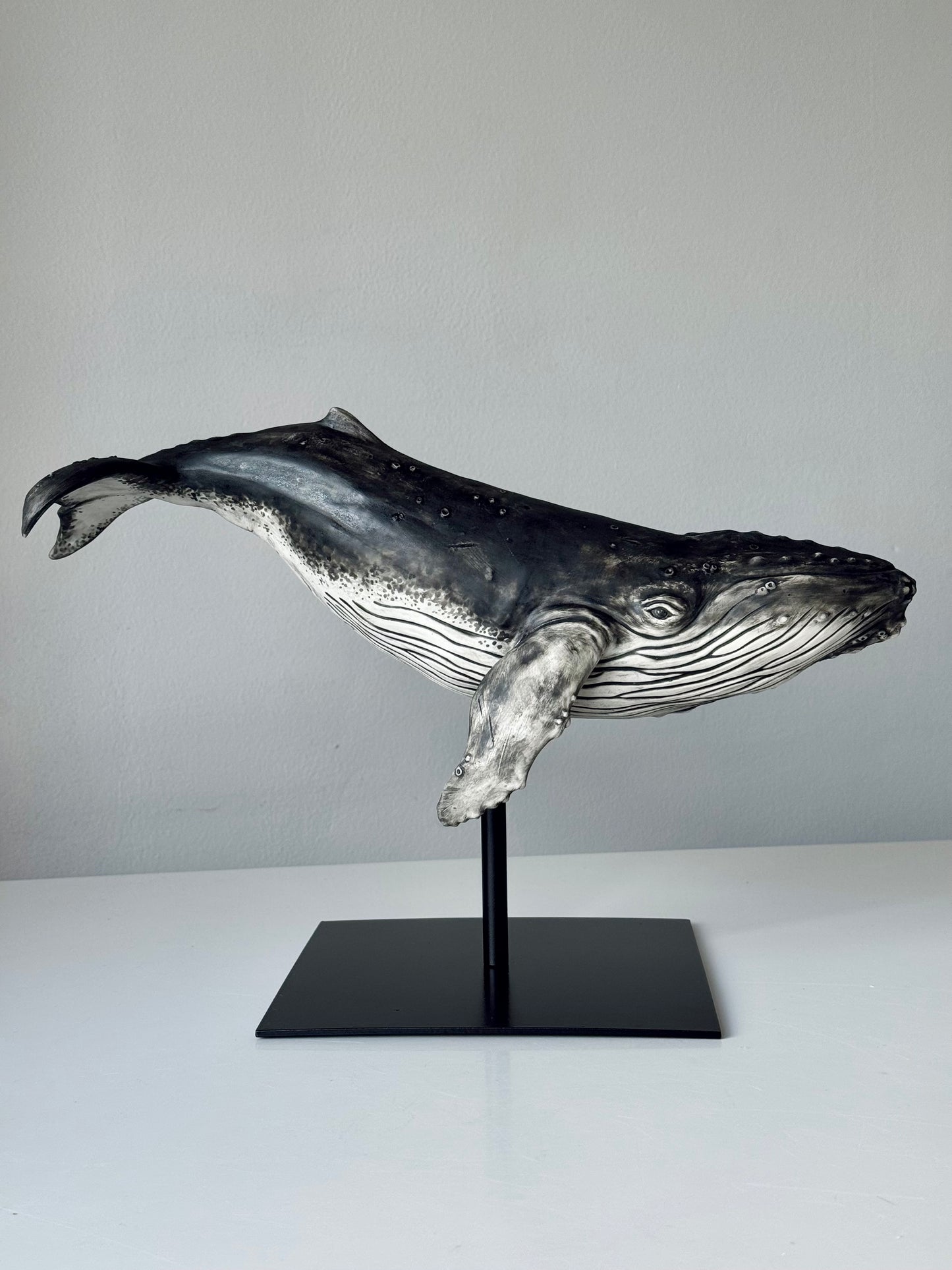 Big Humpback Whale