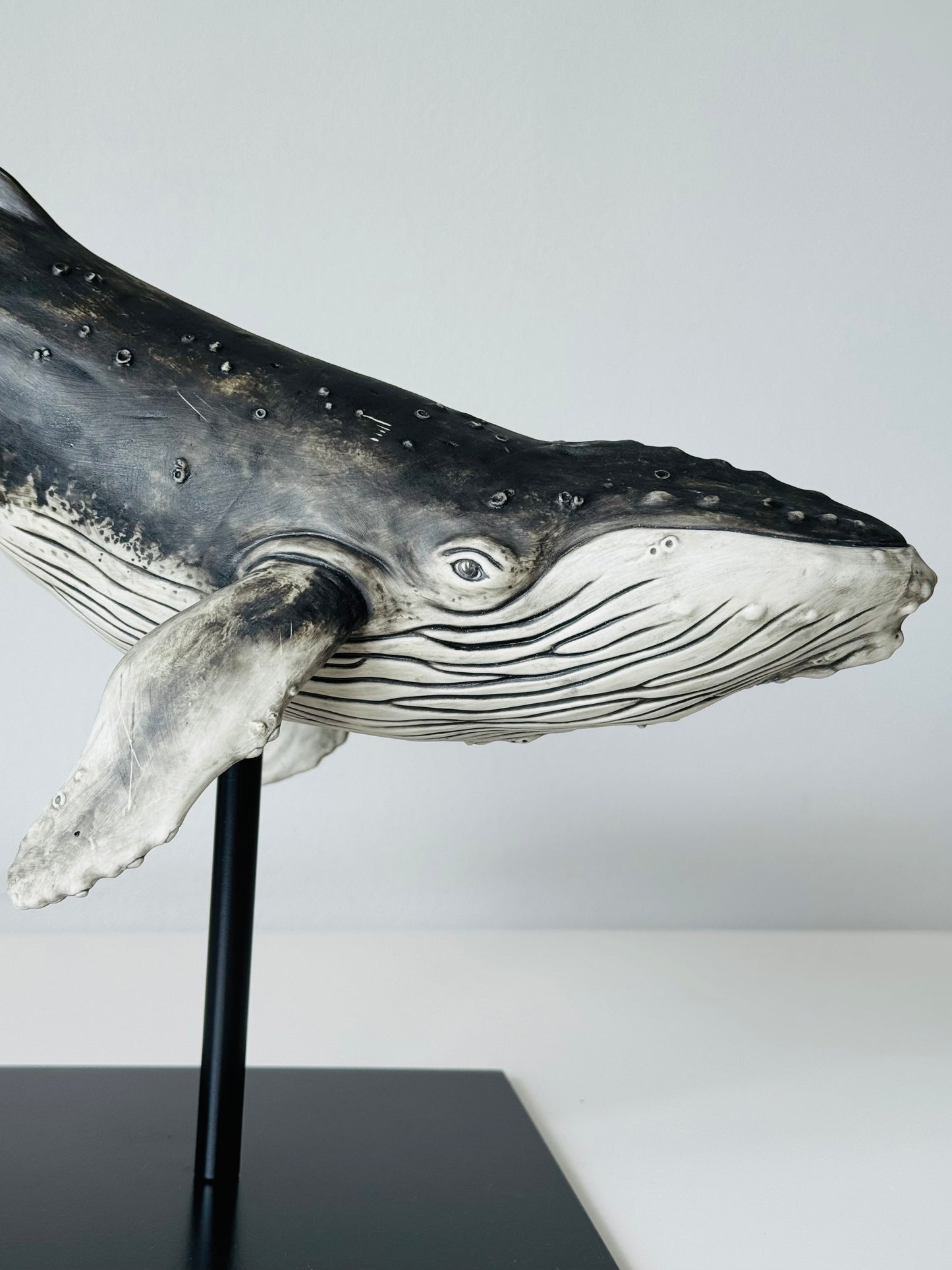 Big Humpback Whale