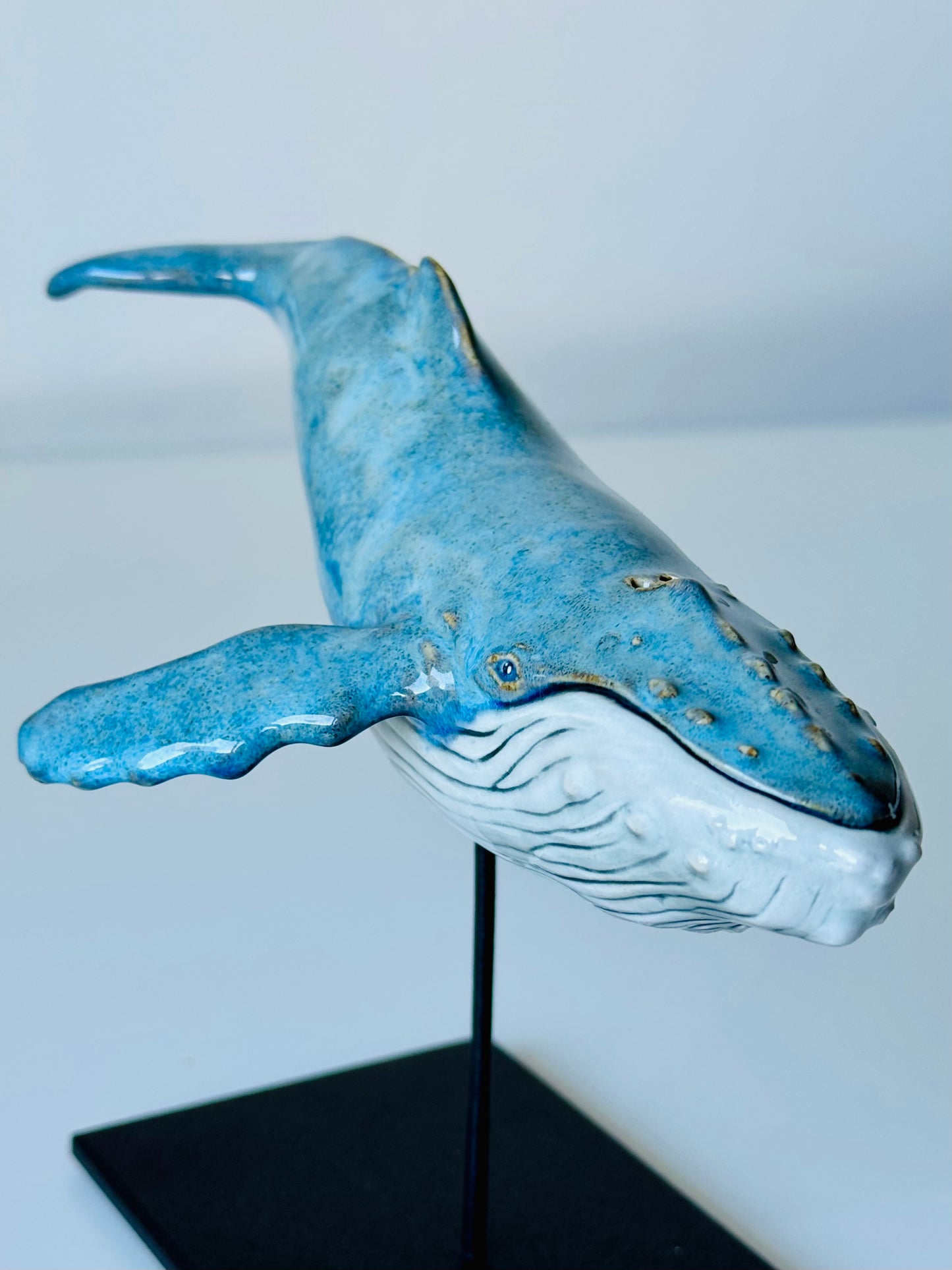 Baby Humpback Whale
