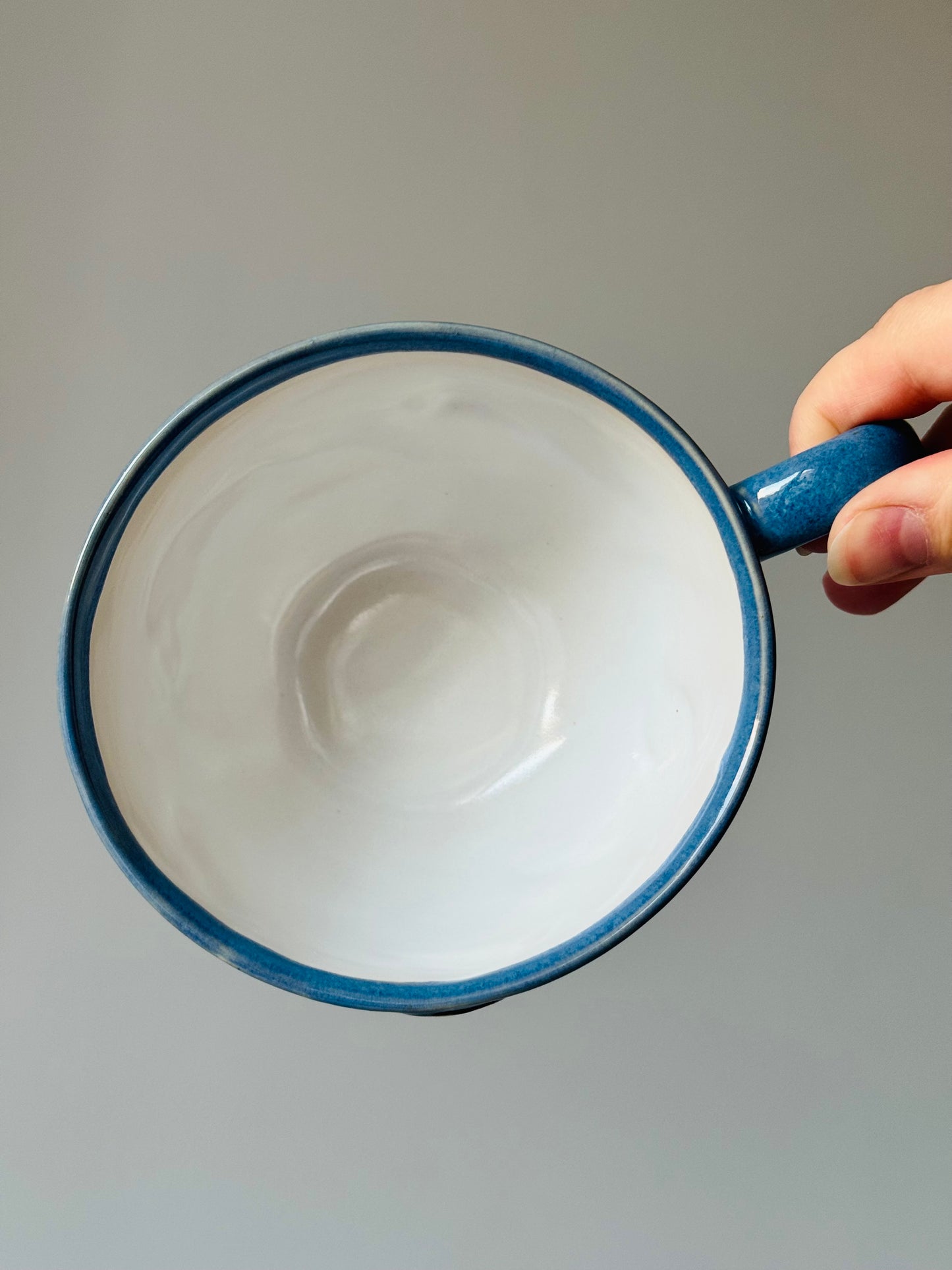 Flying Mantas Mug
