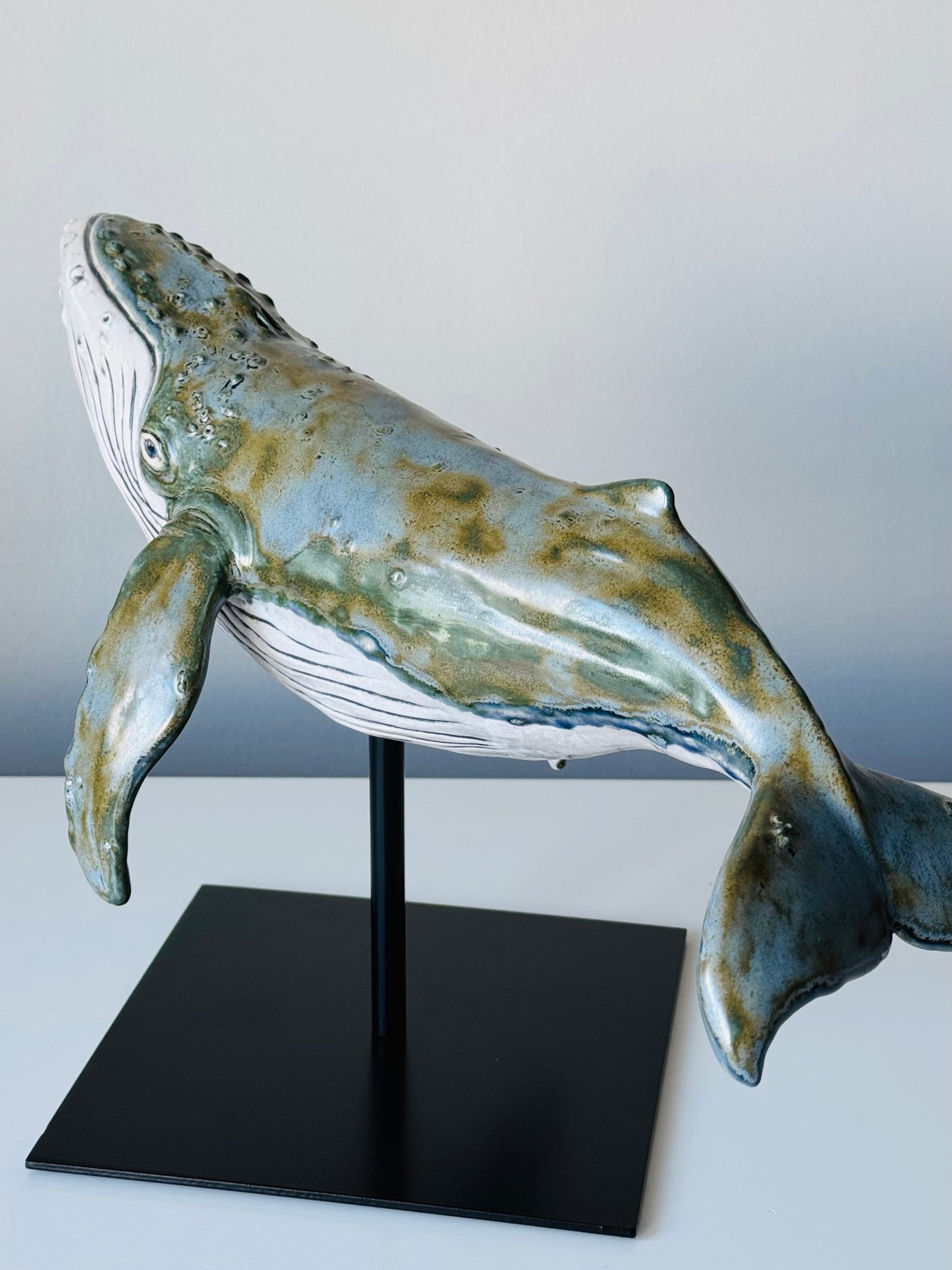 Big Humpback Whale