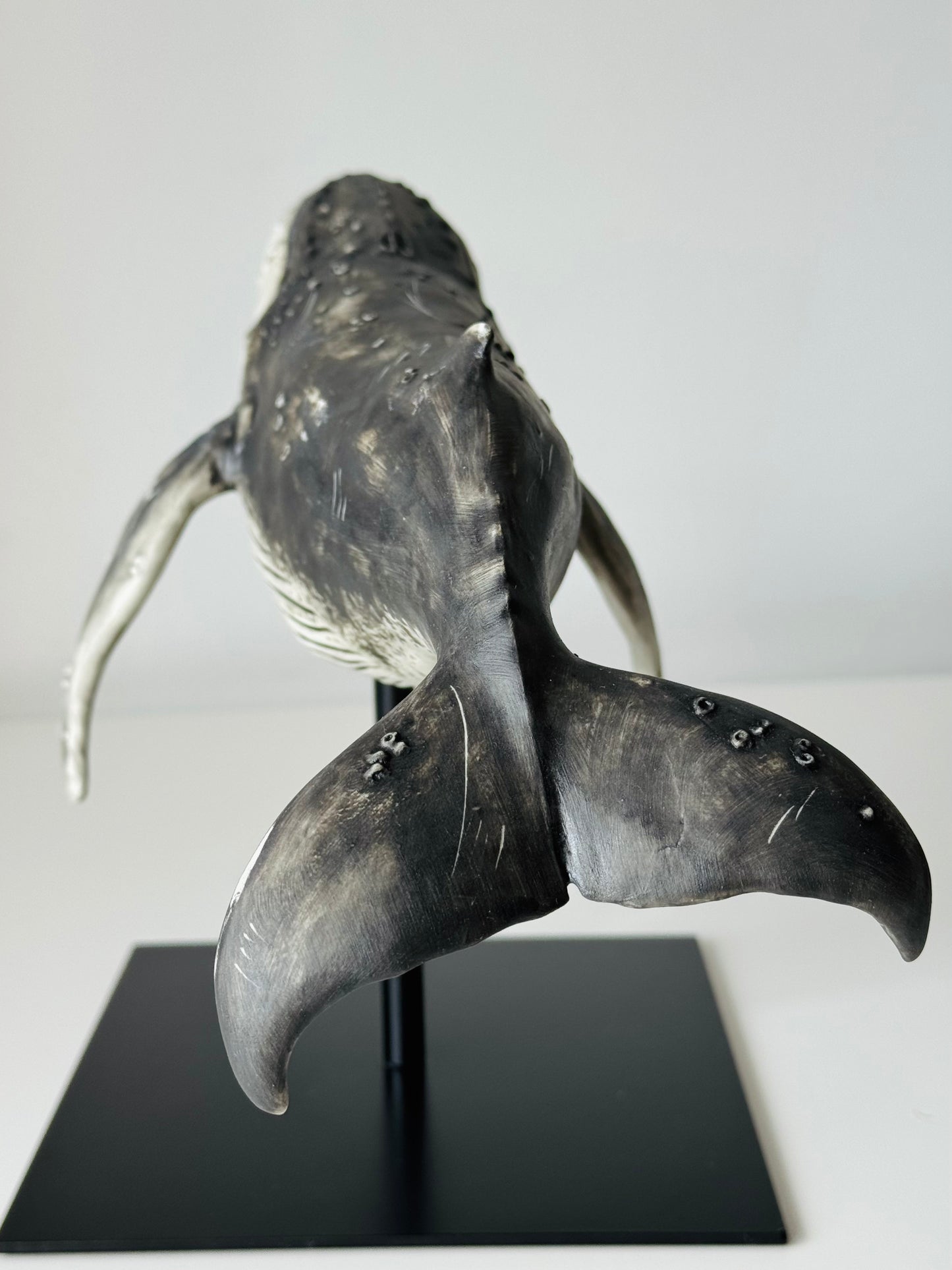Big Humpback Whale
