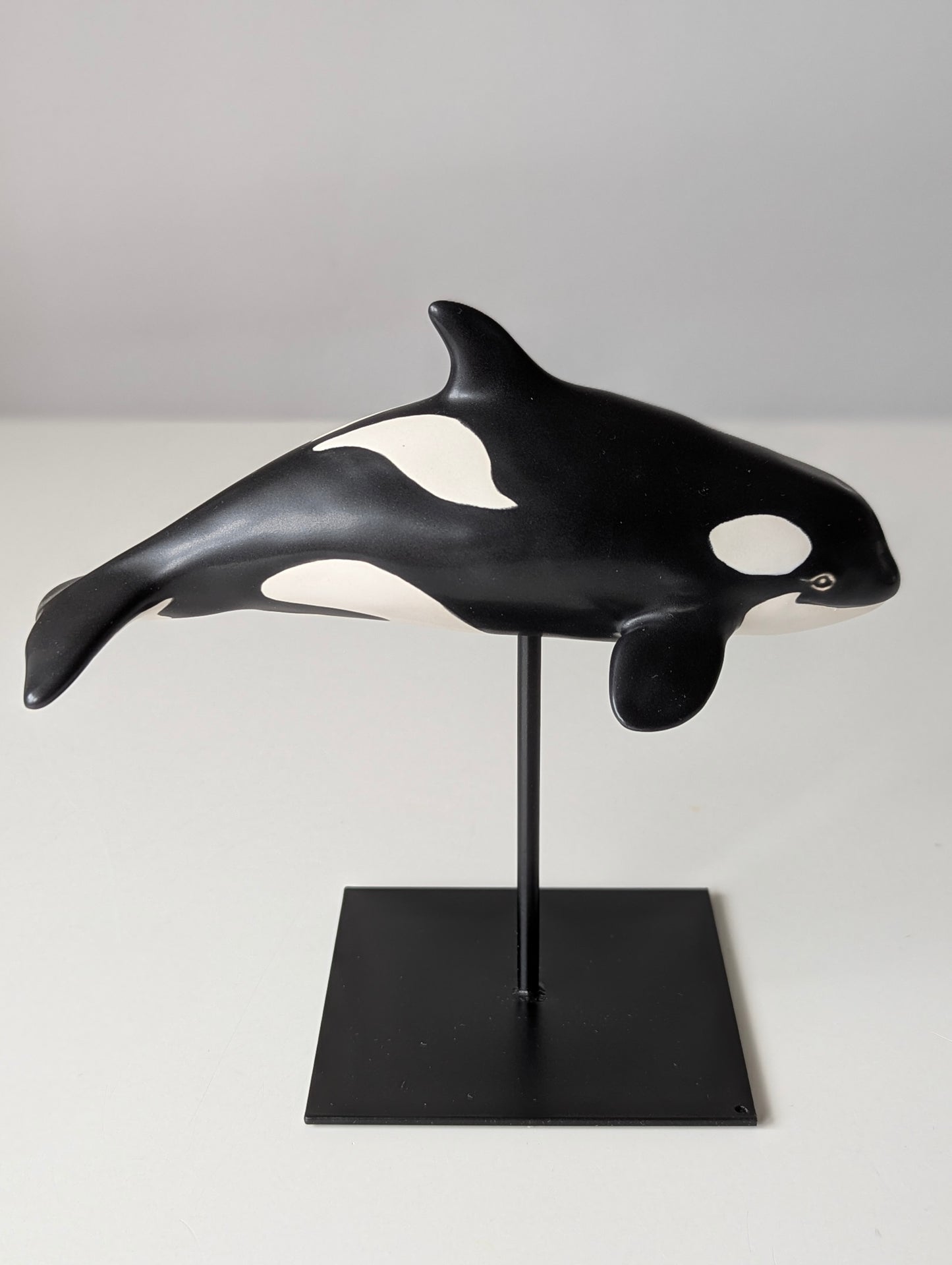 Baby Orca