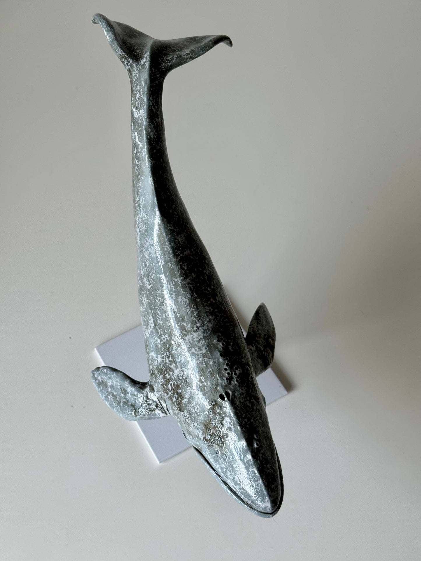Gray whale on a stand