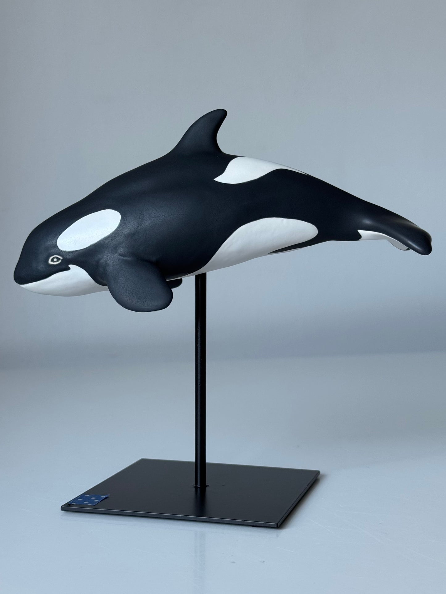 Baby Orca