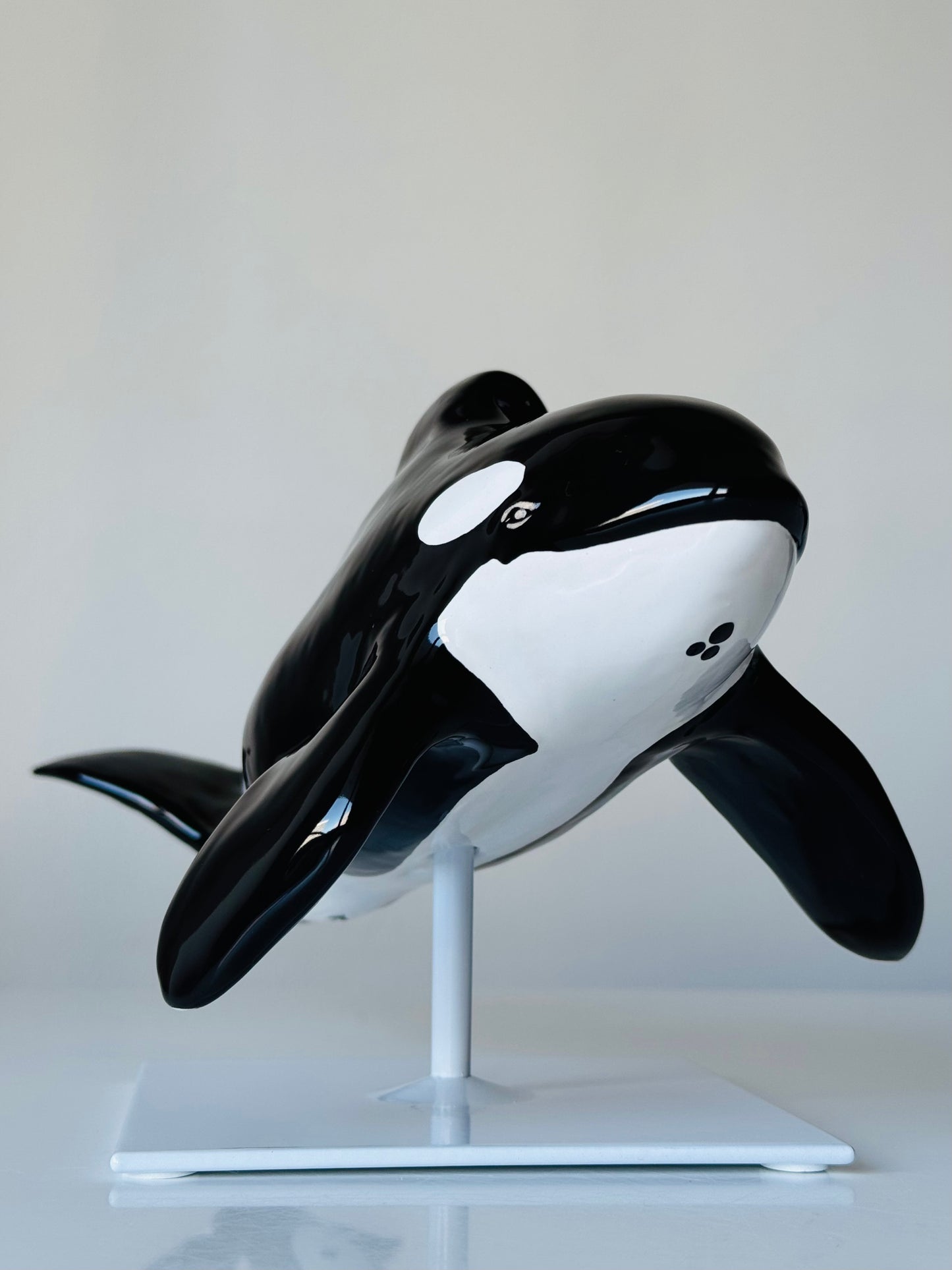 Orca Willy