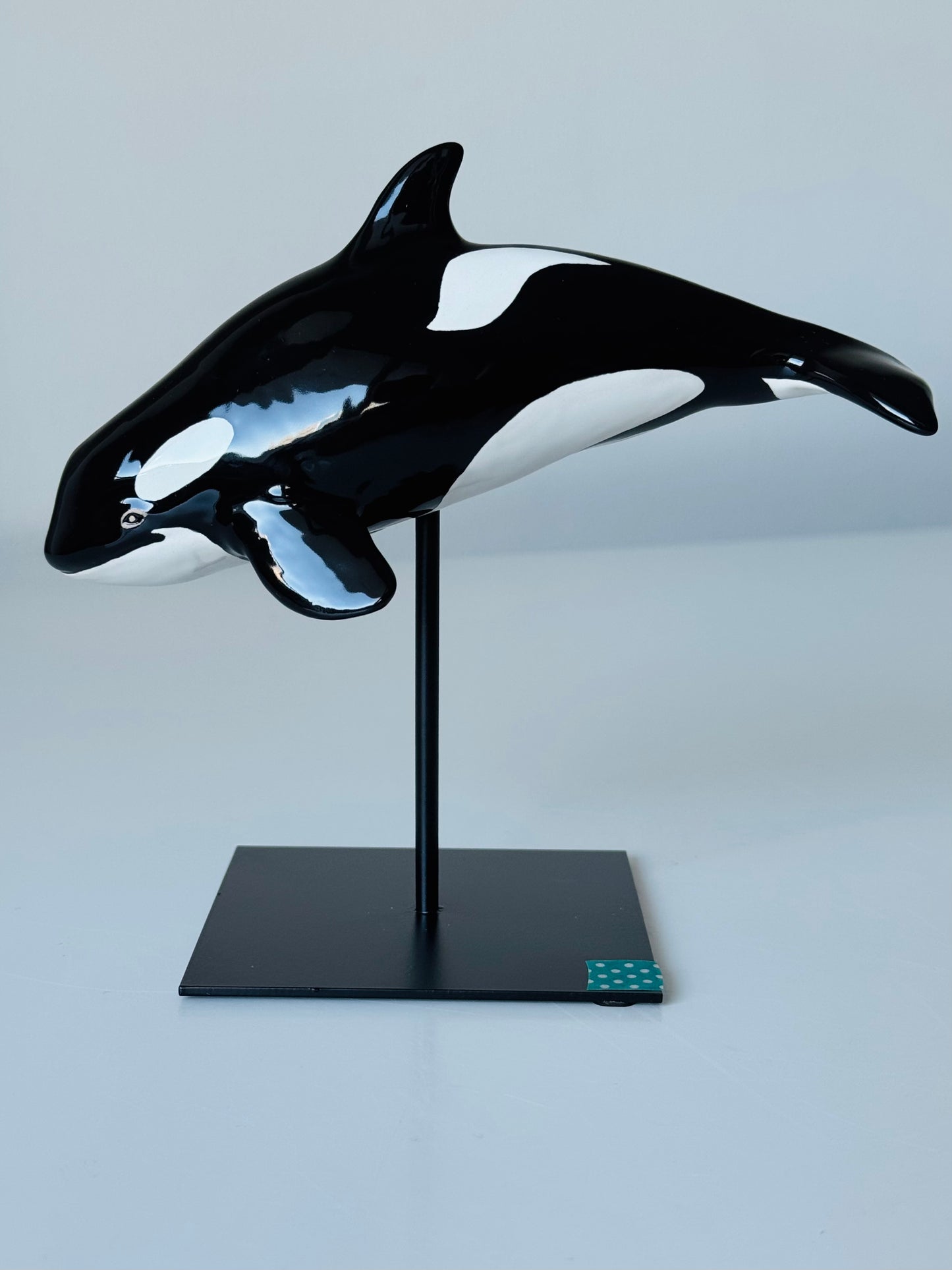 Baby Orca