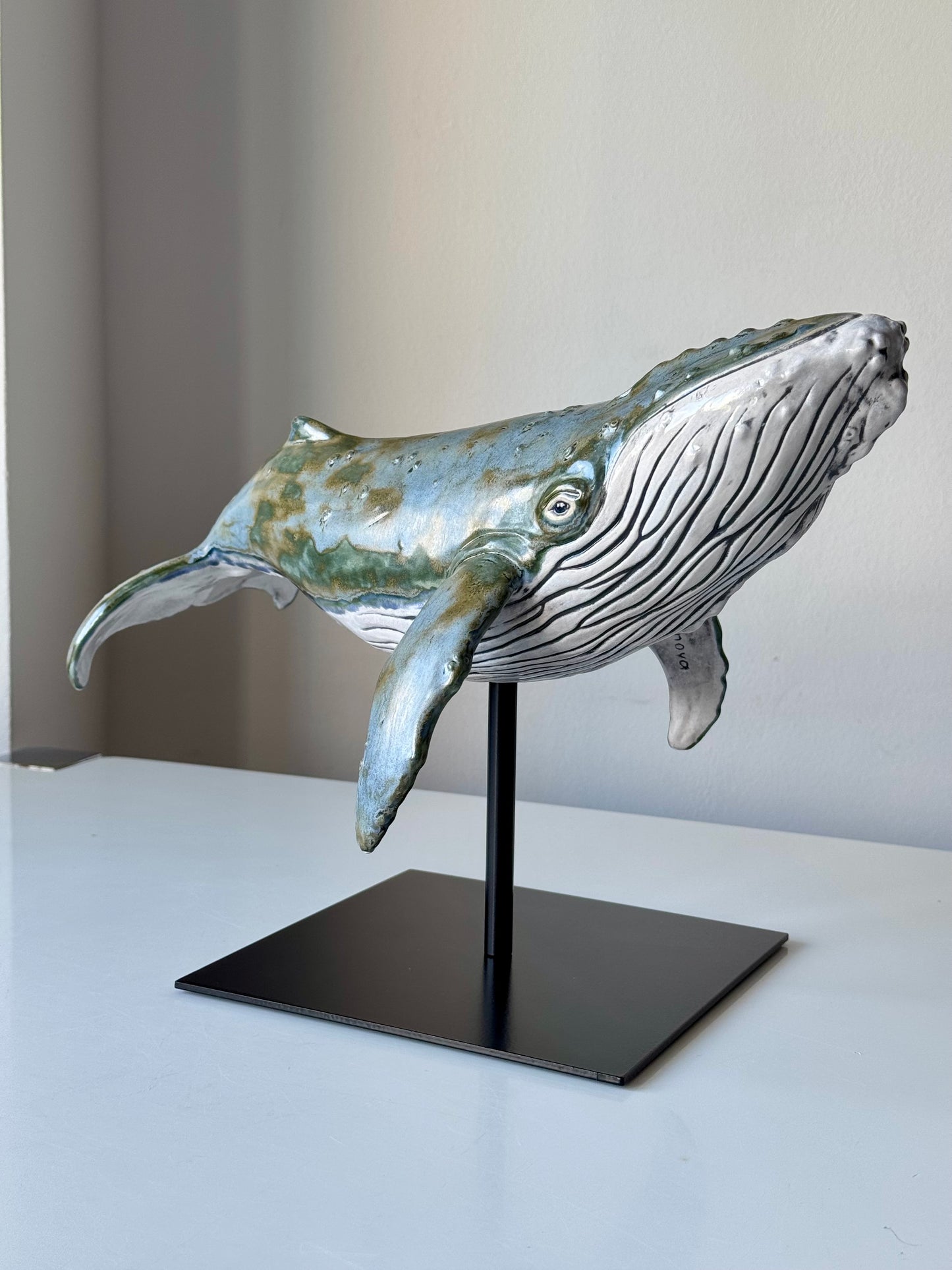 Big Humpback Whale