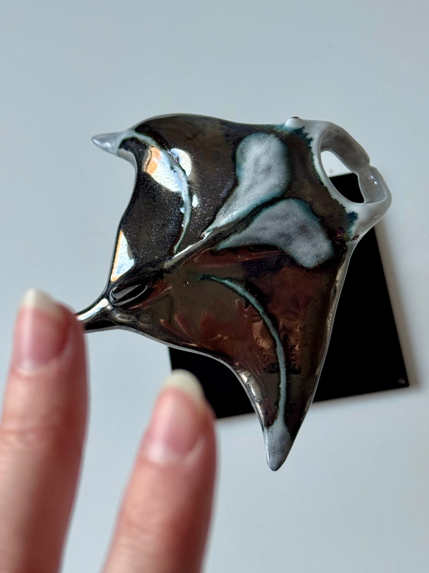 Manta Ray