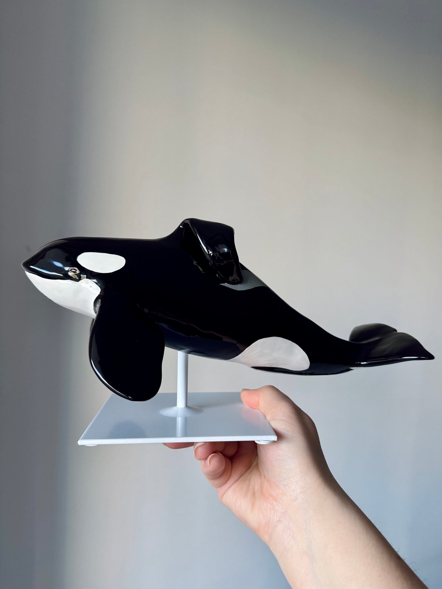 Orca Willy