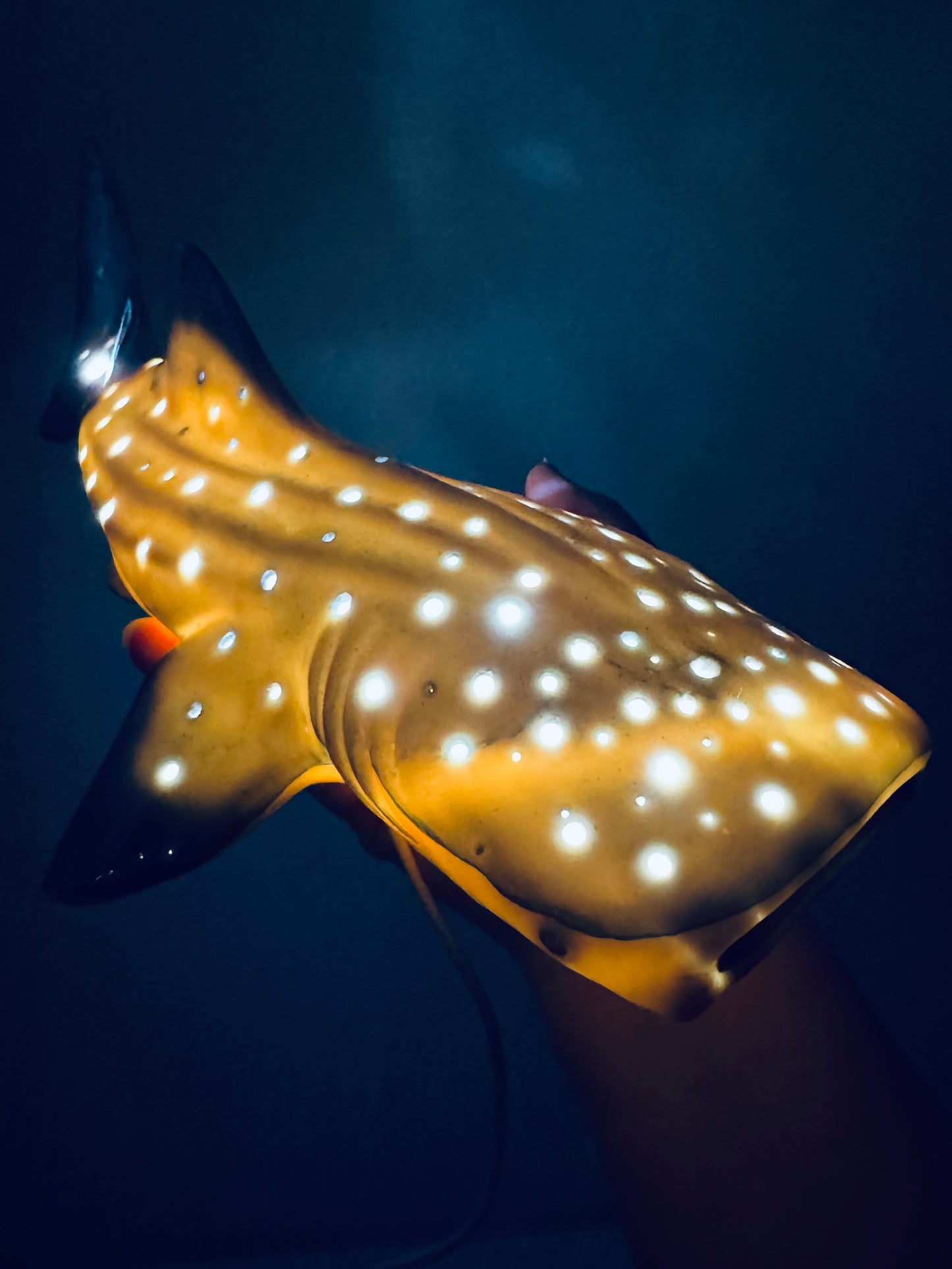 Whale Shark Lamp