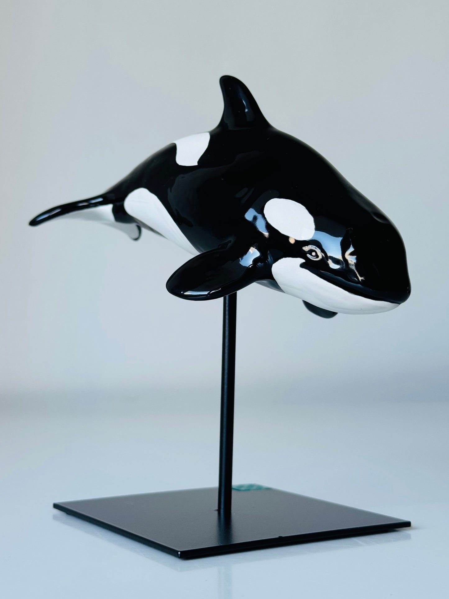 Baby Orca