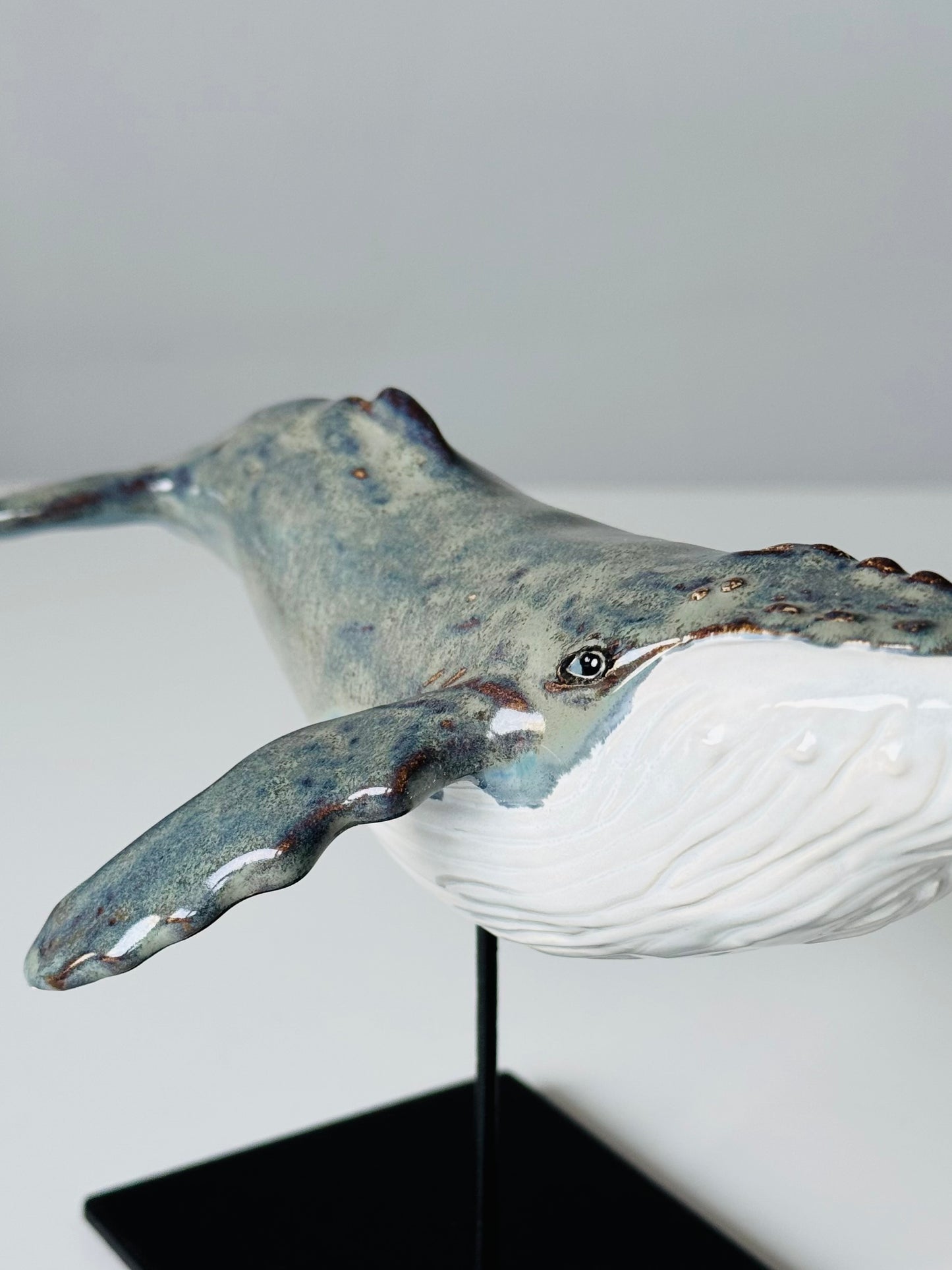Baby Humpback Whale