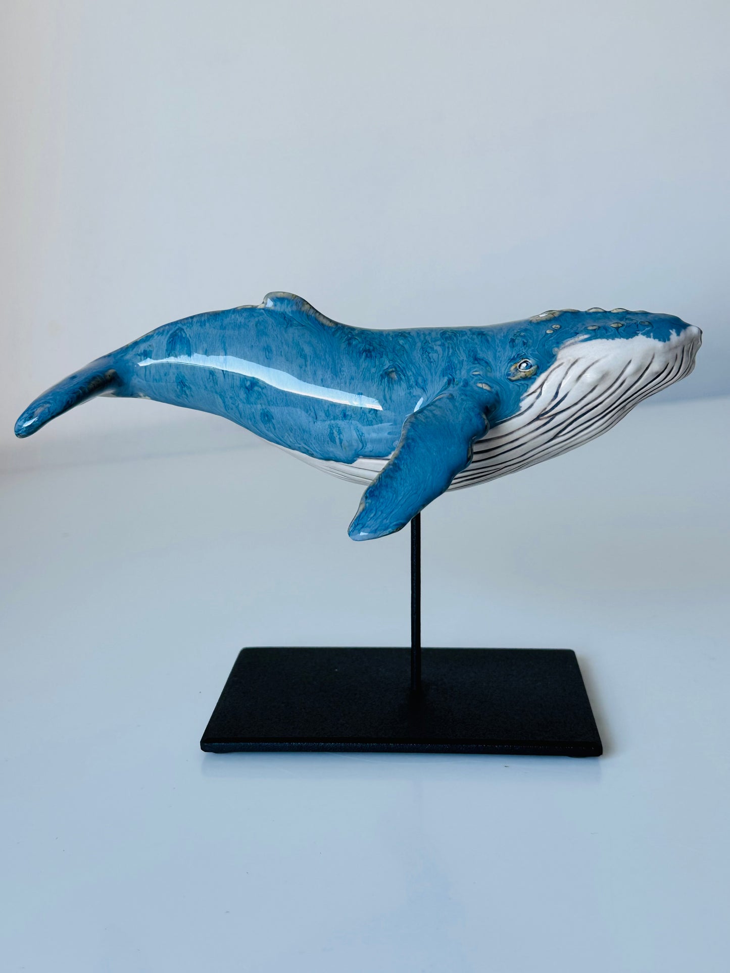 Baby Humpback Whale