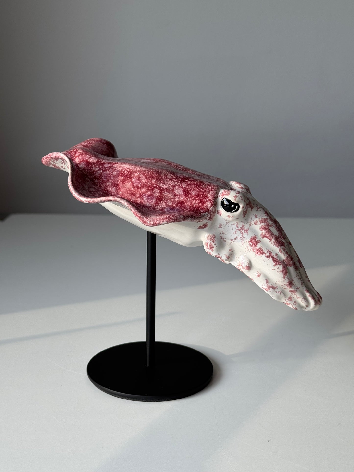 Cuttlefish
