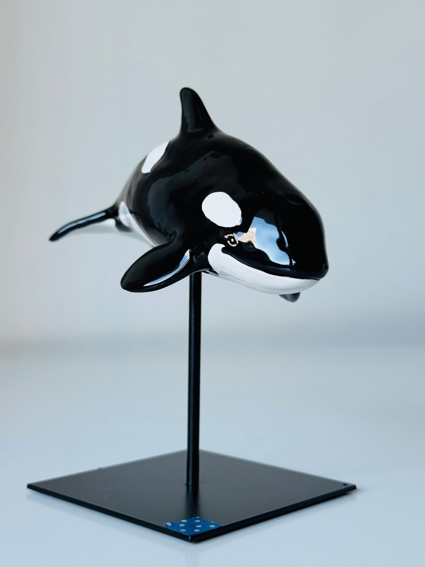 Baby Orca