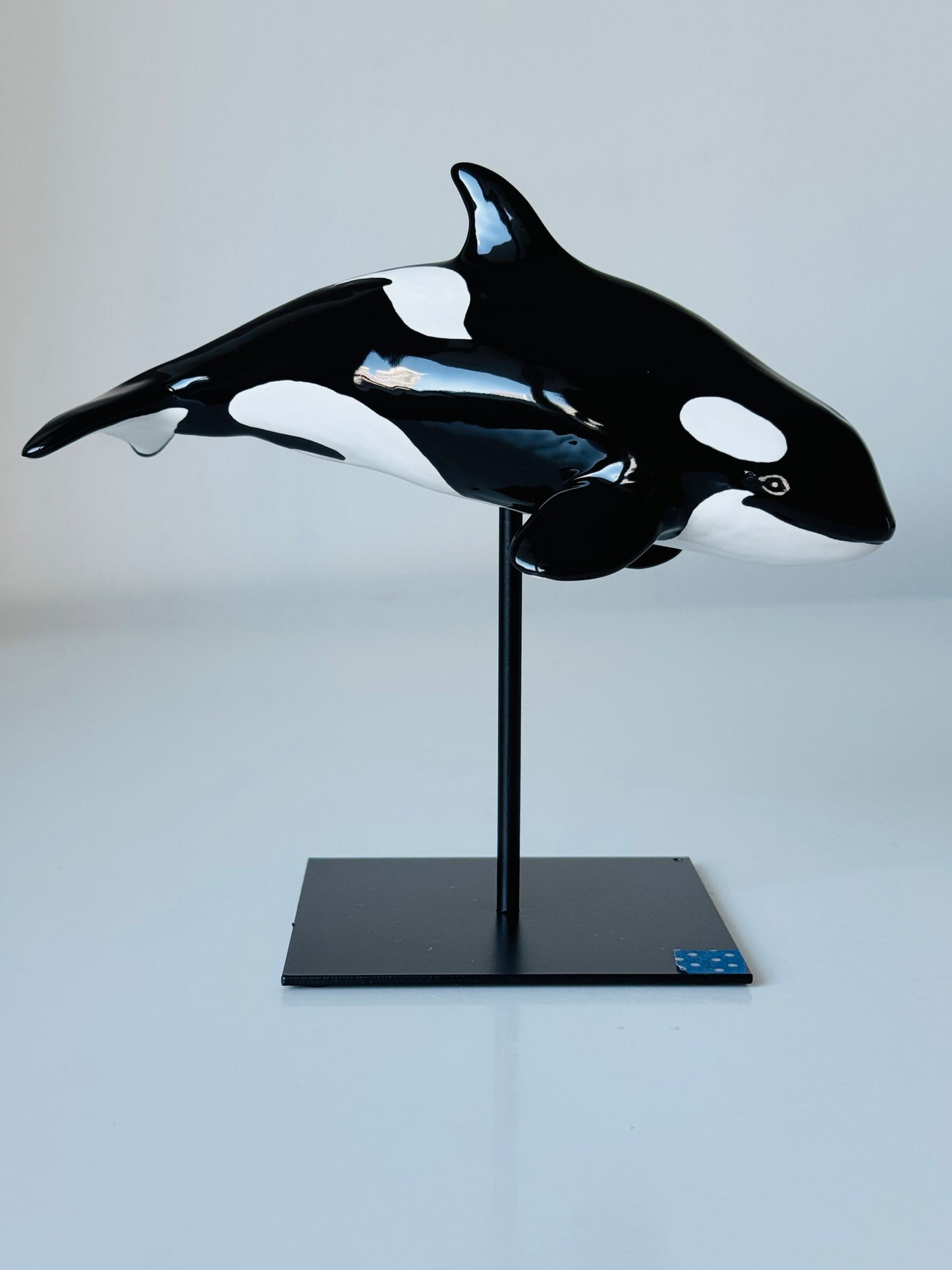 Baby Orca
