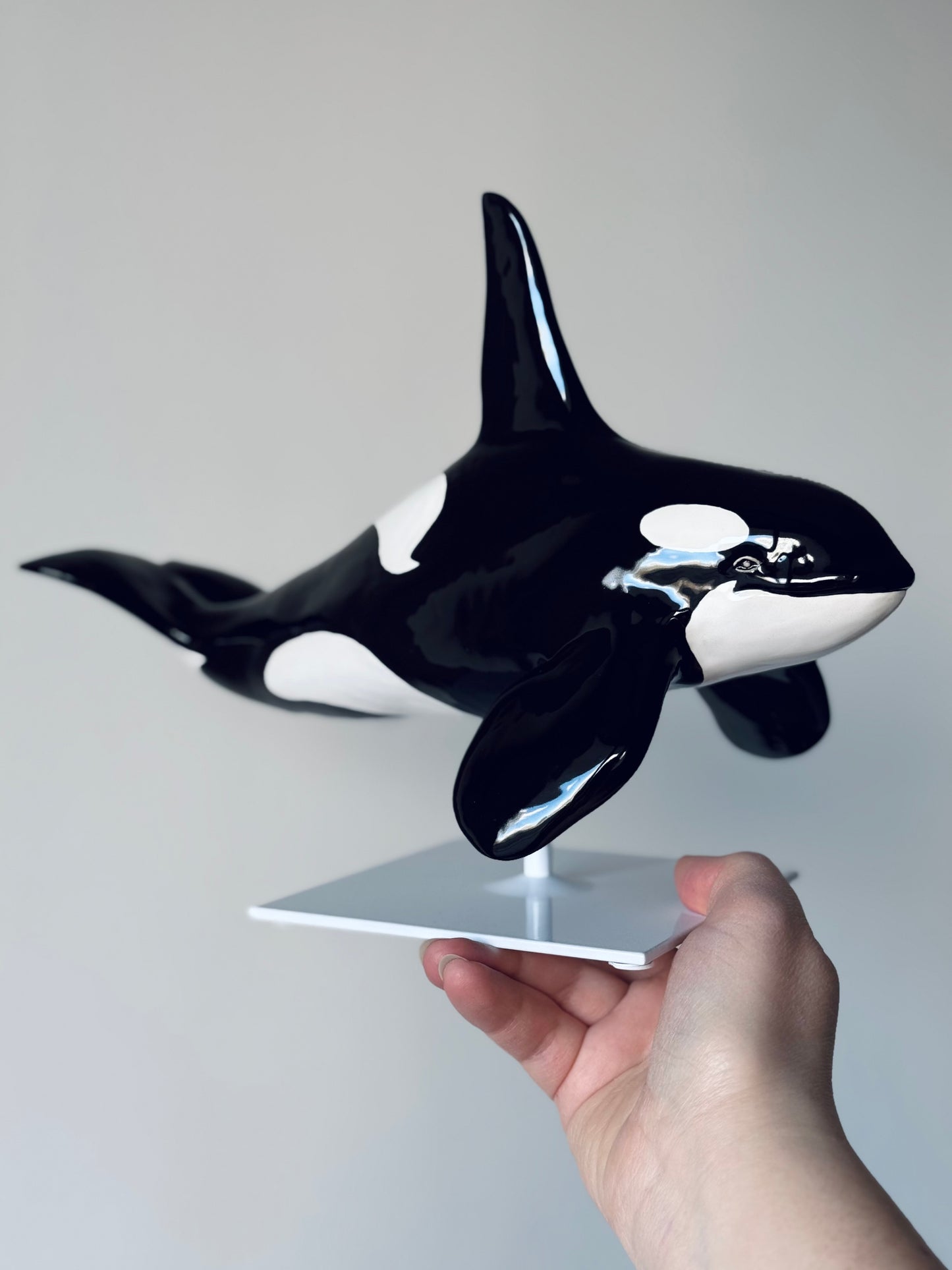 Male Orca on a stand